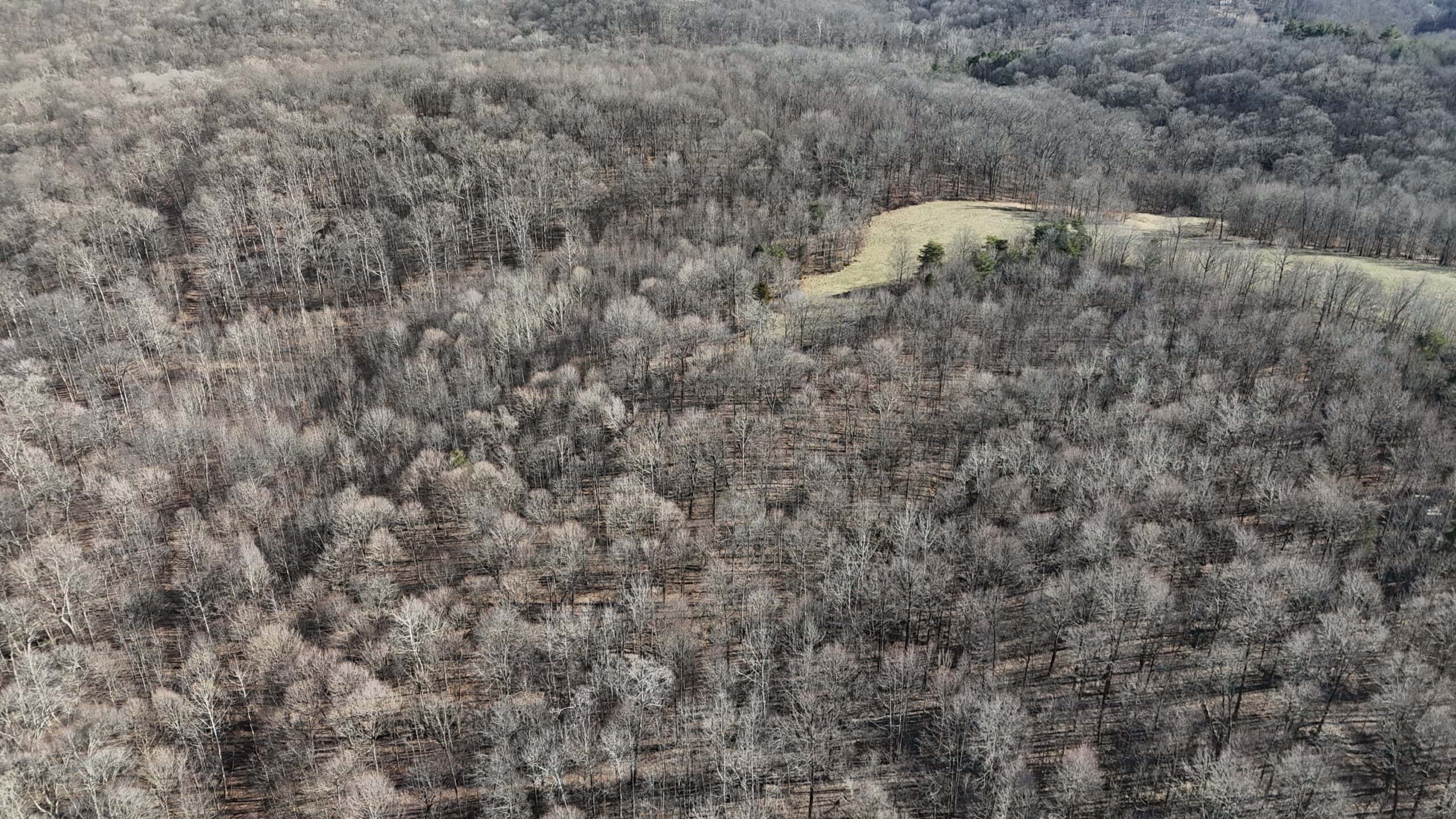 80 Acres In Dubois County- Near Patoka Lake