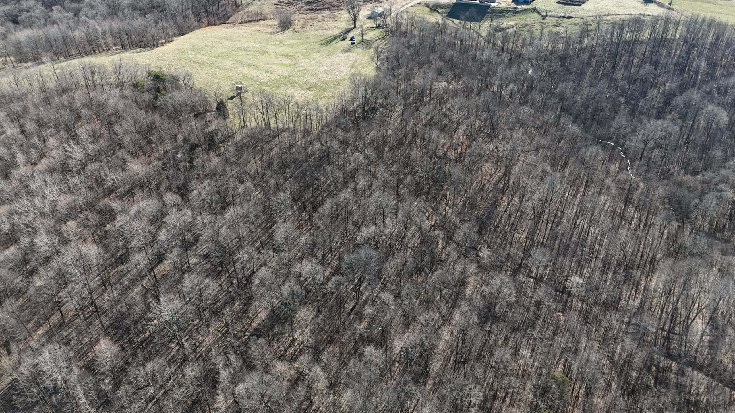 80 Acres In Dubois County- Near Patoka Lake