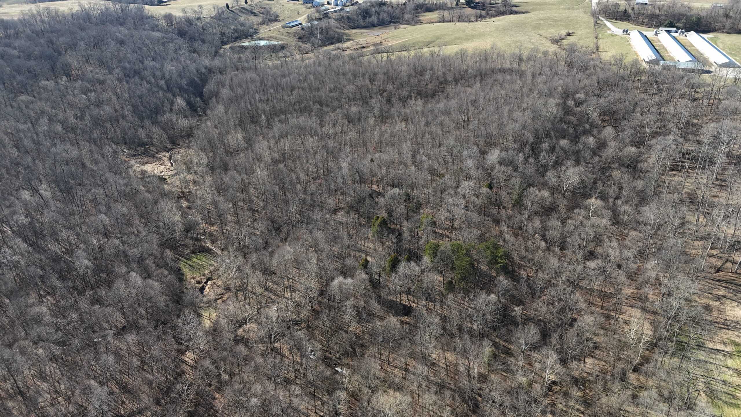 80 Acres In Dubois County- Near Patoka Lake