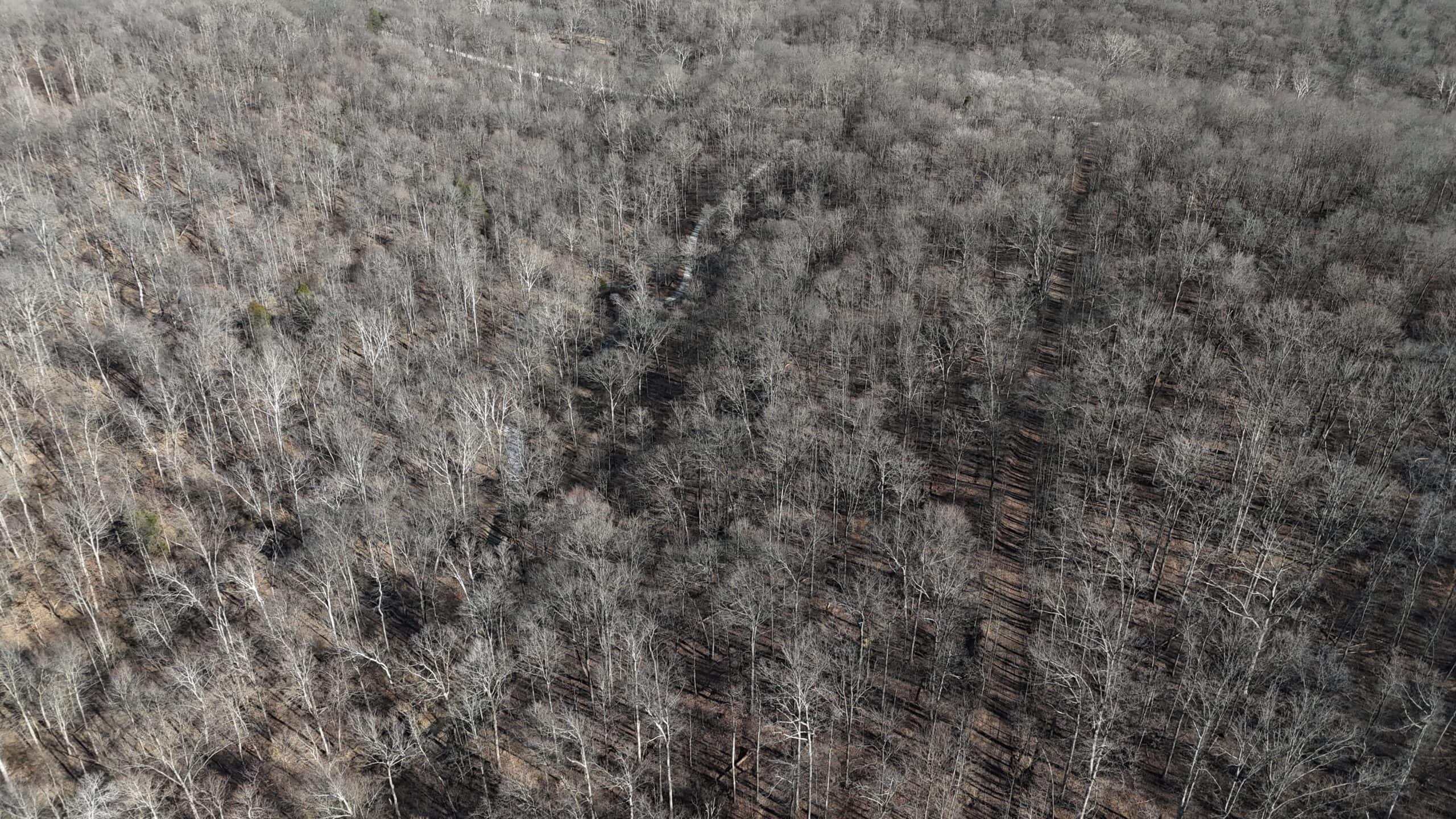 80 Acres In Dubois County- Near Patoka Lake