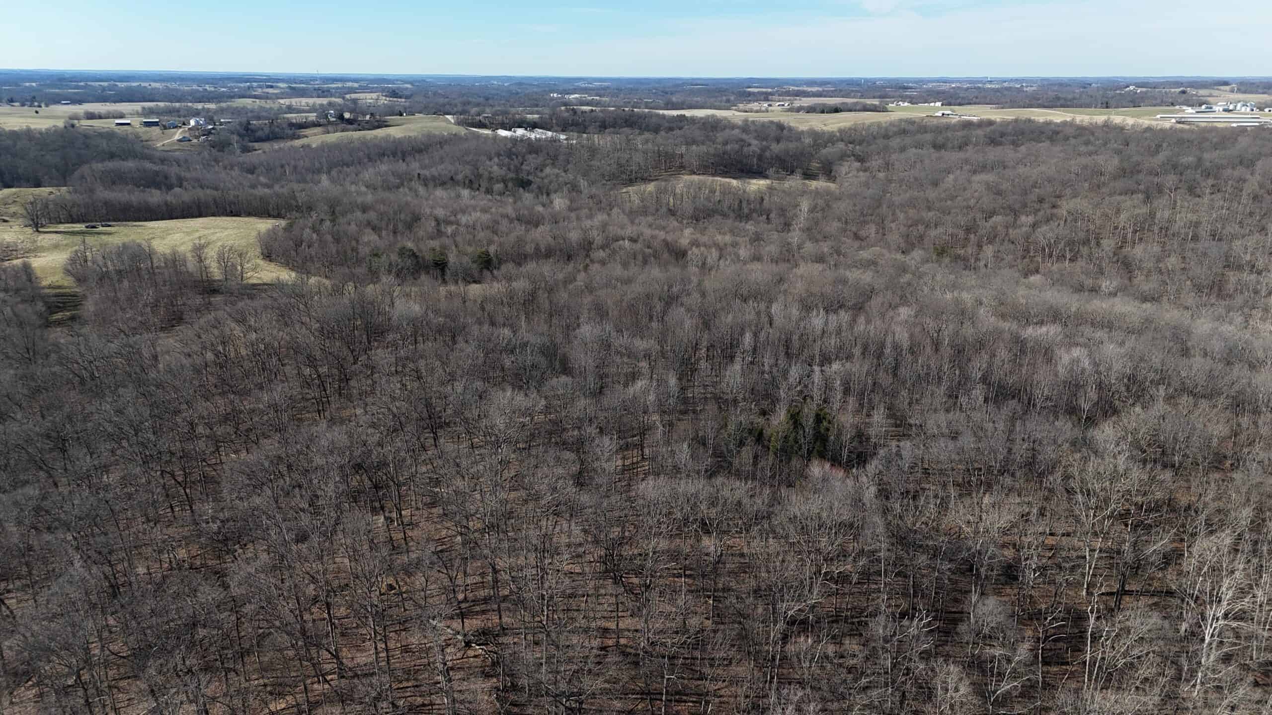 80 Acres In Dubois County- Near Patoka Lake