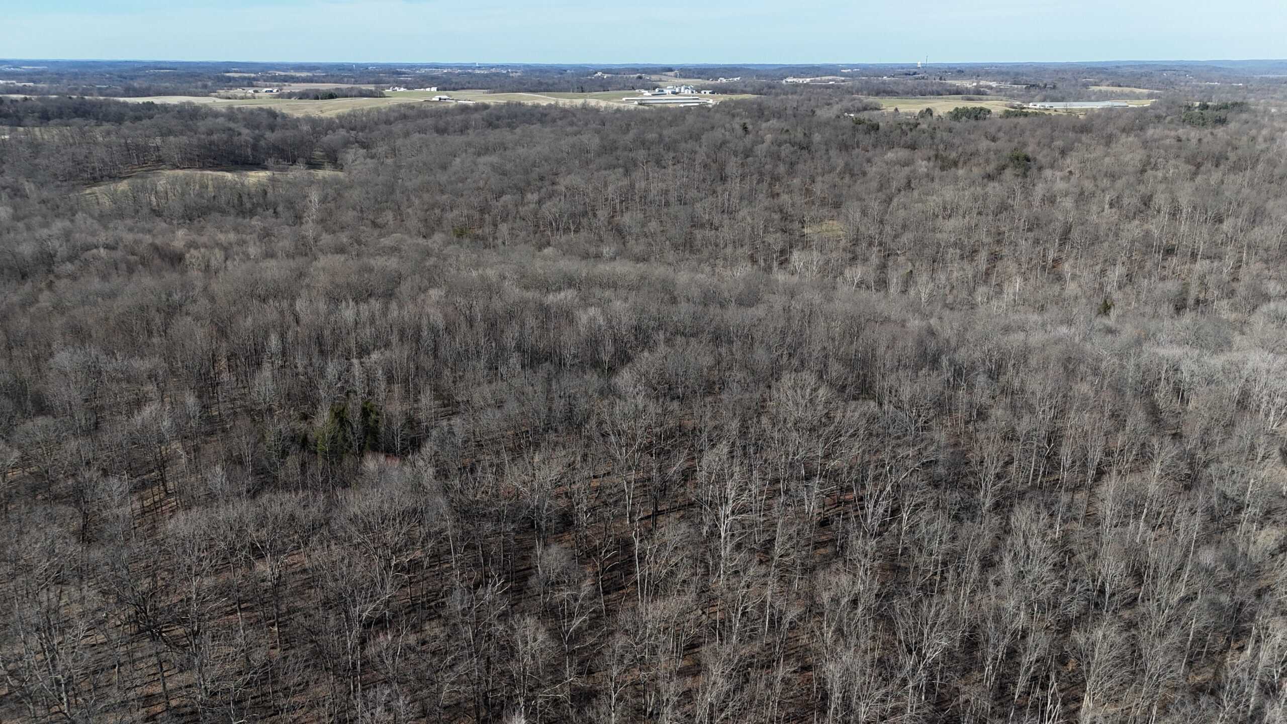 80 Acres In Dubois County- Near Patoka Lake