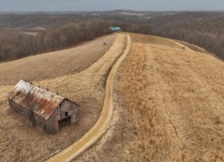 Blufftop Whitetail Estate – 39.21 Acres with Log Home & Trophy Deer Habitat in Richland County