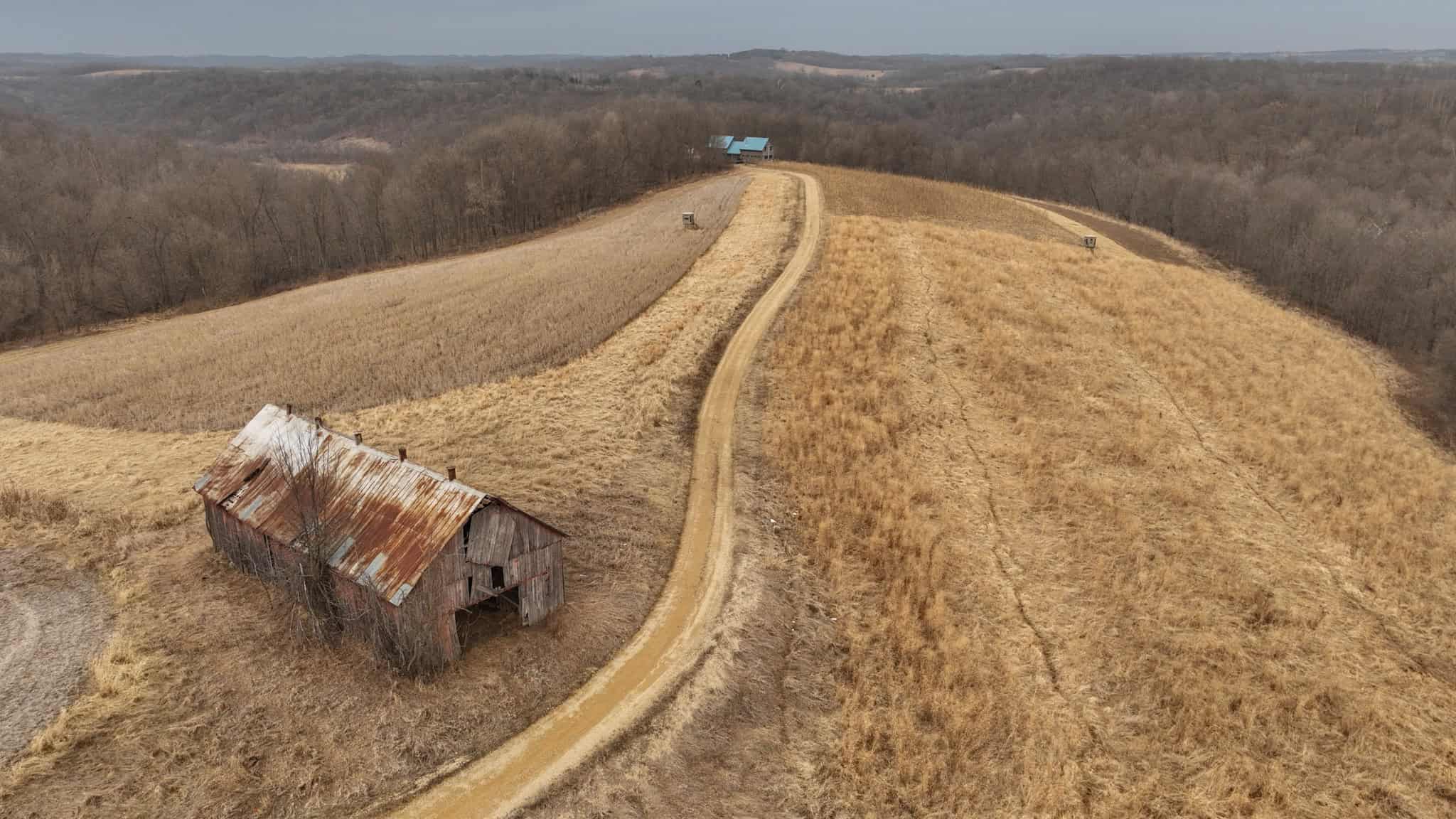 Blufftop Whitetail Estate – 39.21 Acres with Log Home & Trophy Deer Habitat in Richland County