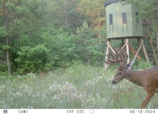 89.22-Acre Turnkey Whitetail Hunting Property in Adams County, Wisconsin