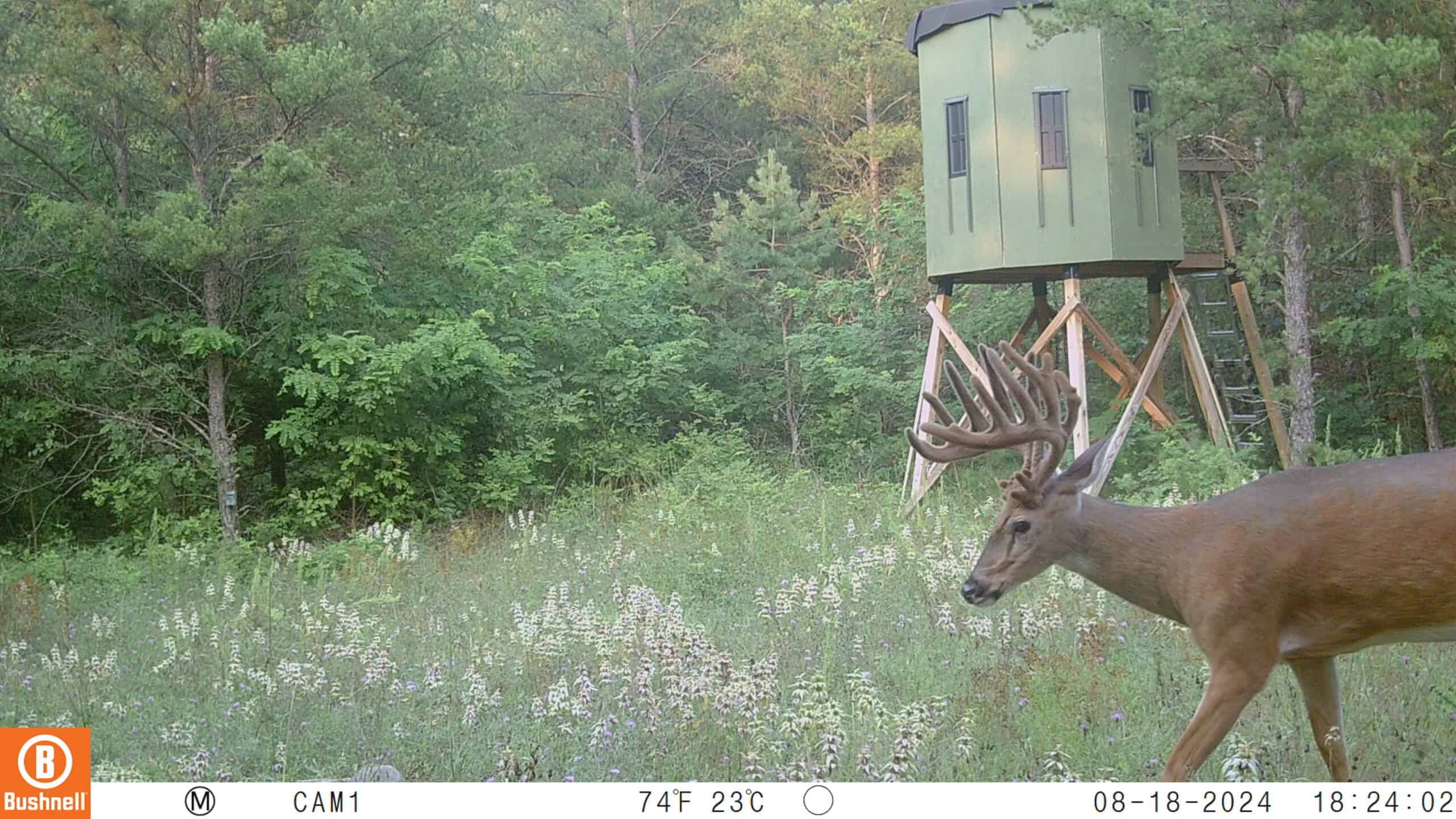 89.22-Acre Turnkey Whitetail Hunting Property in Adams County, Wisconsin