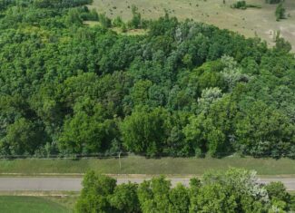 100-Acre Legacy Recreational Tract with Dual Road Frontage | Adams County, Wisconsin