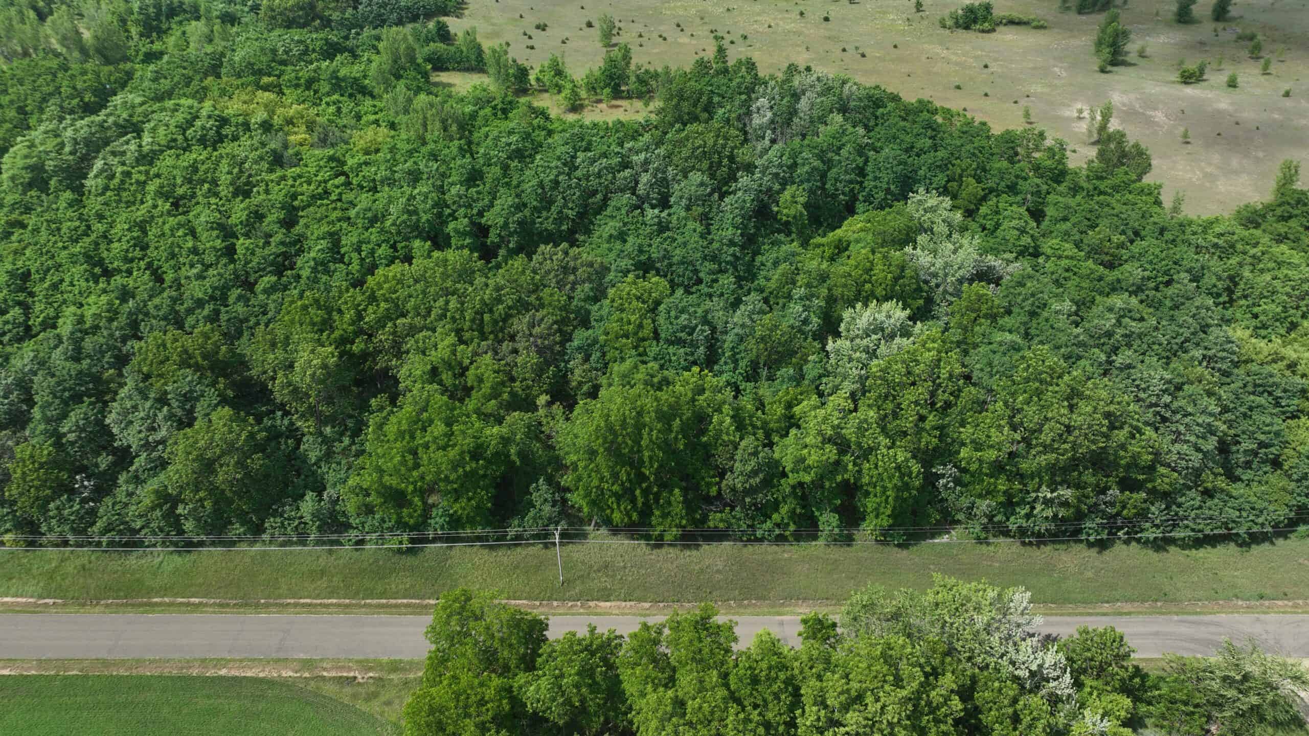 100-Acre Legacy Recreational Tract with Dual Road Frontage | Adams County, Wisconsin