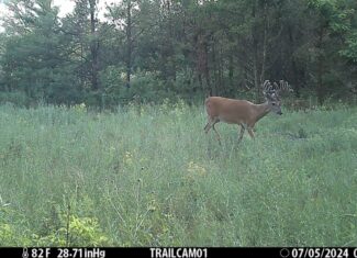 89.22-Acre Turnkey Whitetail Hunting Property in Adams County, Wisconsin