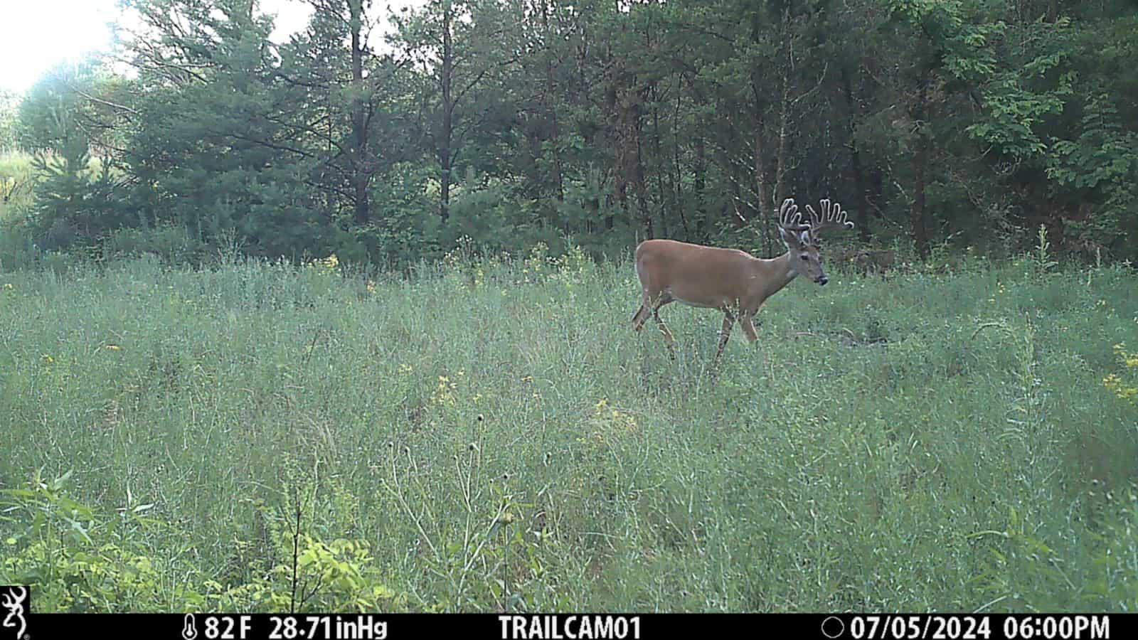 89.22-Acre Turnkey Whitetail Hunting Property in Adams County, Wisconsin