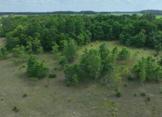 100-Acre Legacy Recreational Tract with Dual Road Frontage | Adams County, Wisconsin