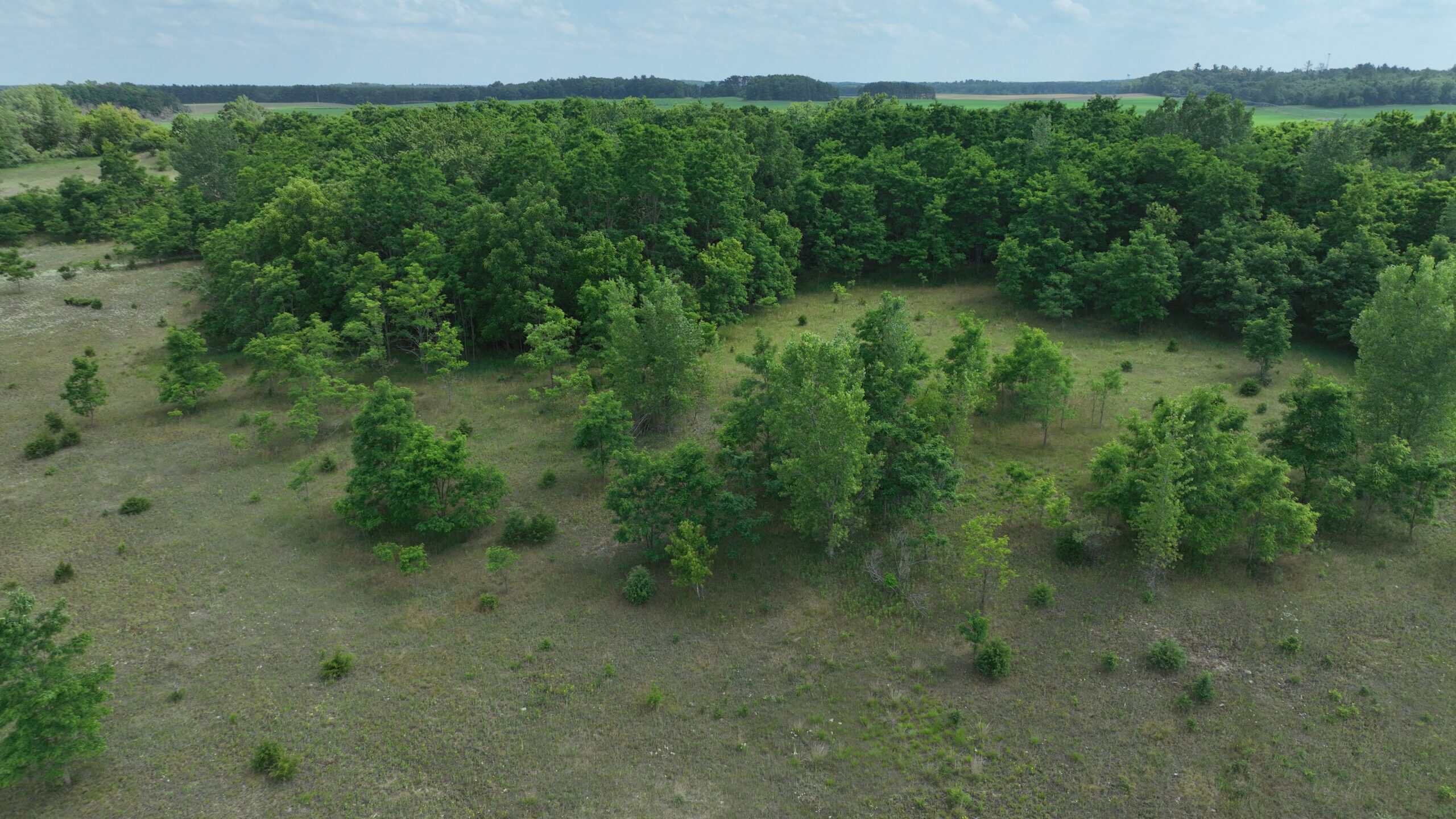 100-Acre Legacy Recreational Tract with Dual Road Frontage | Adams County, Wisconsin