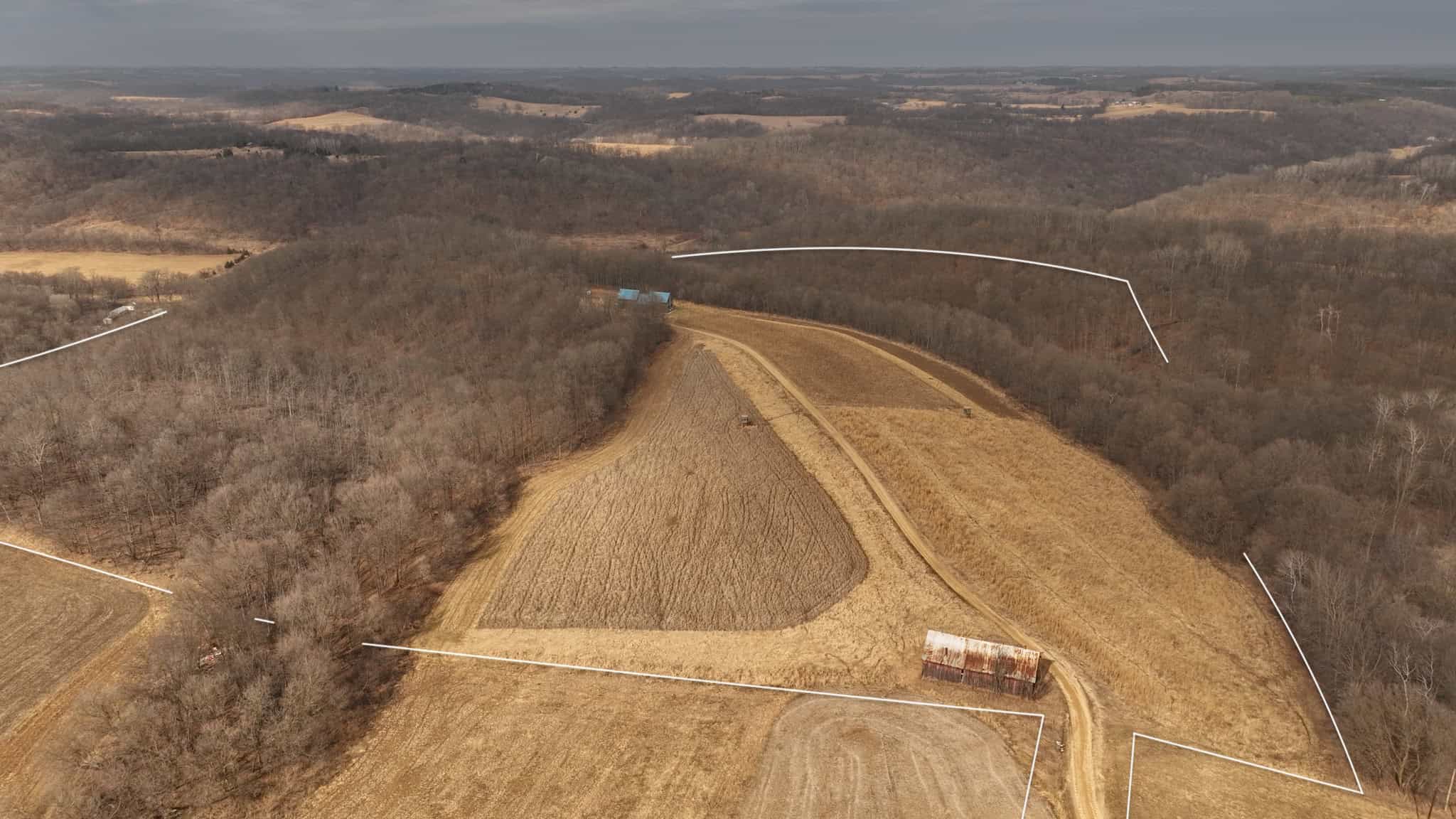 Blufftop Whitetail Estate – 39.21 Acres with Log Home & Trophy Deer Habitat in Richland County