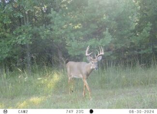 89.22-Acre Turnkey Whitetail Hunting Property in Adams County, Wisconsin