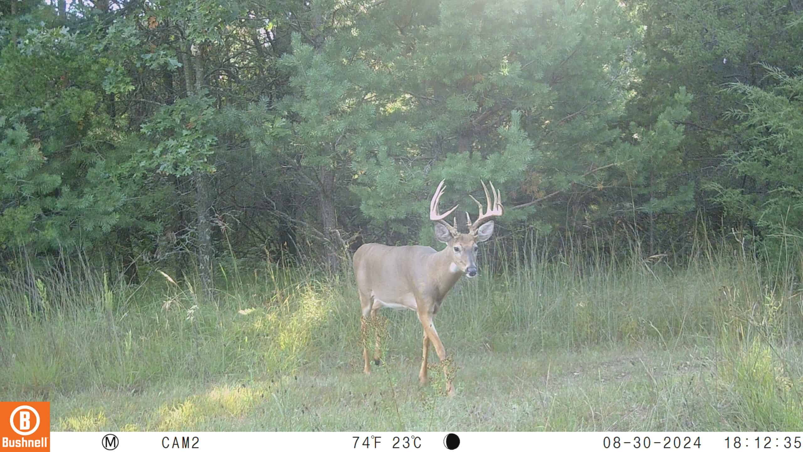 89.22-Acre Turnkey Whitetail Hunting Property in Adams County, Wisconsin