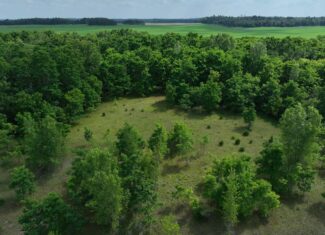 100-Acre Legacy Recreational Tract with Dual Road Frontage | Adams County, Wisconsin