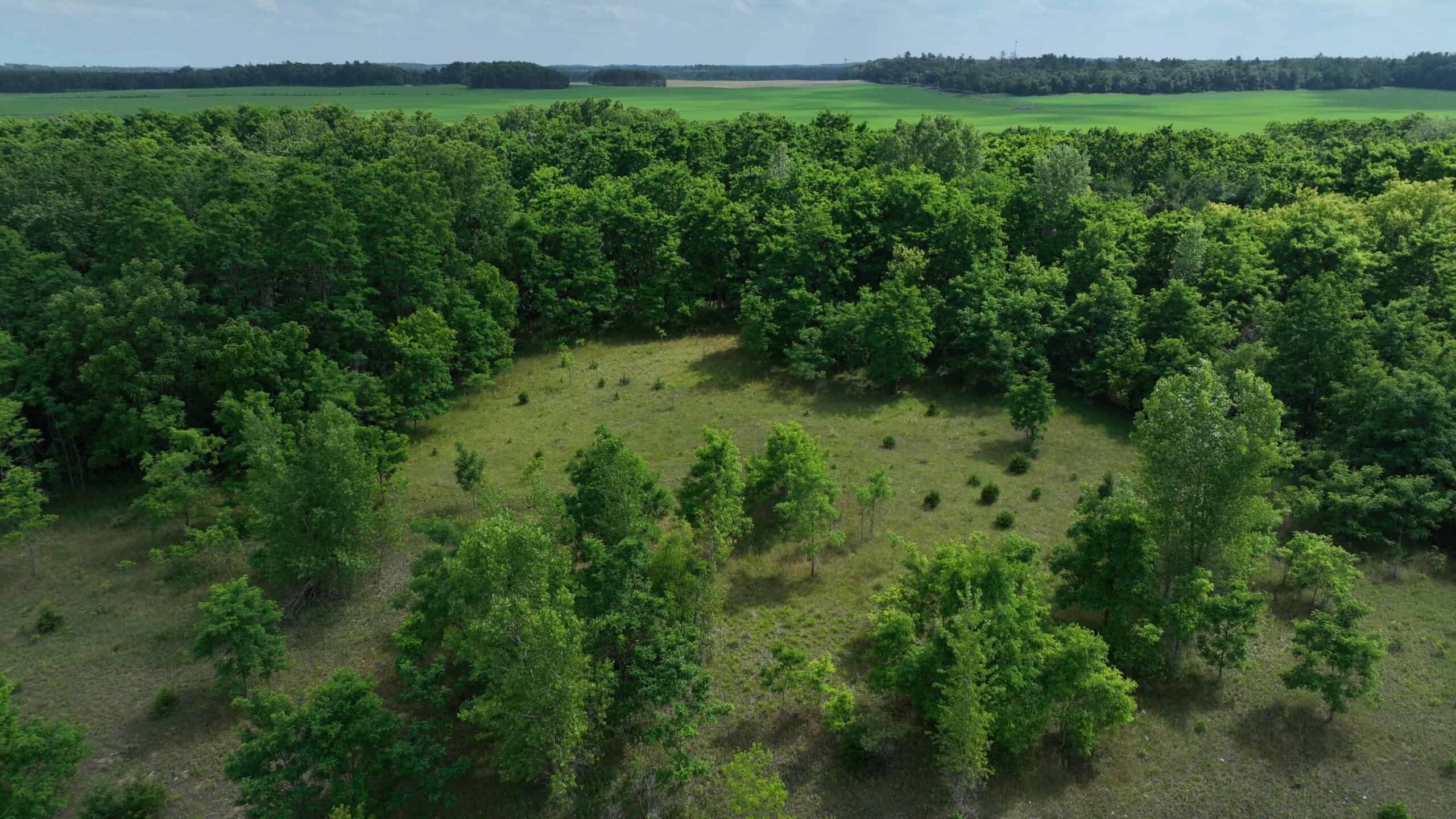 100-Acre Legacy Recreational Tract with Dual Road Frontage | Adams County, Wisconsin