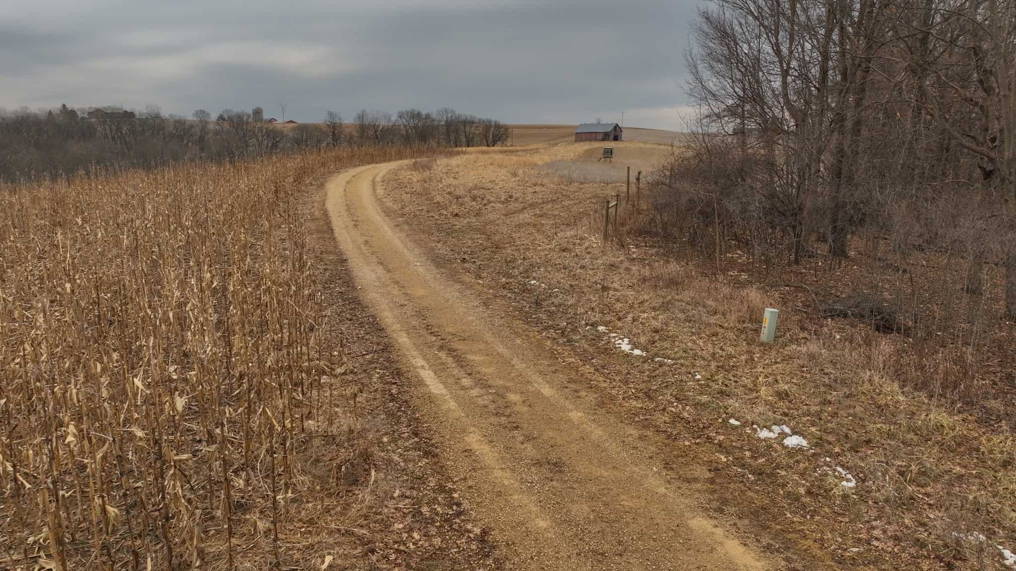 Blufftop Whitetail Estate – 39.21 Acres with Log Home & Trophy Deer Habitat in Richland County