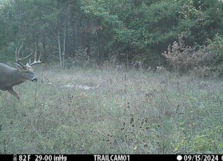 89.22-Acre Turnkey Whitetail Hunting Property in Adams County, Wisconsin