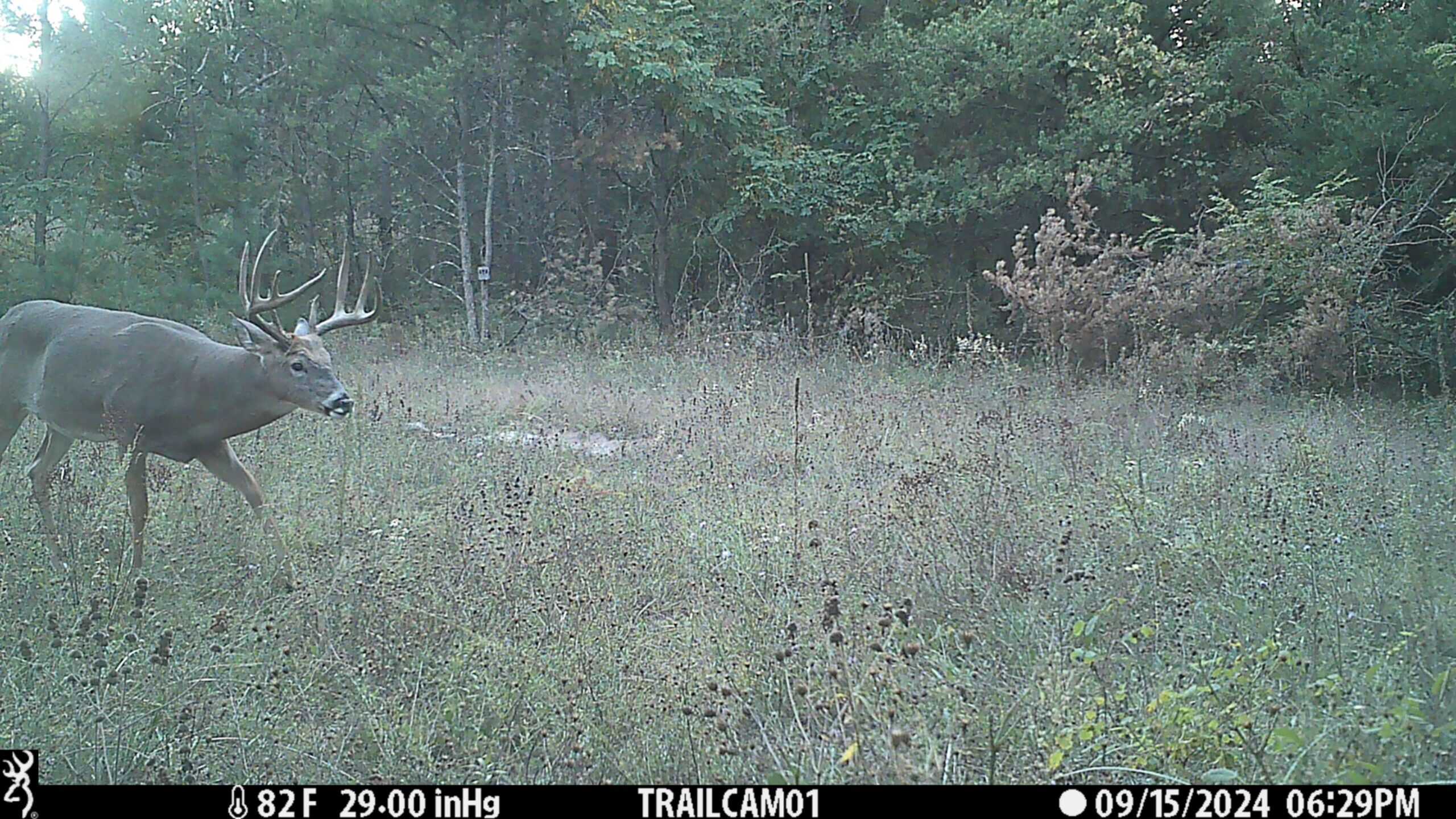 89.22-Acre Turnkey Whitetail Hunting Property in Adams County, Wisconsin