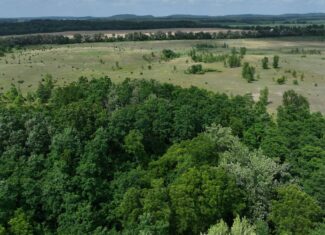 100-Acre Legacy Recreational Tract with Dual Road Frontage | Adams County, Wisconsin