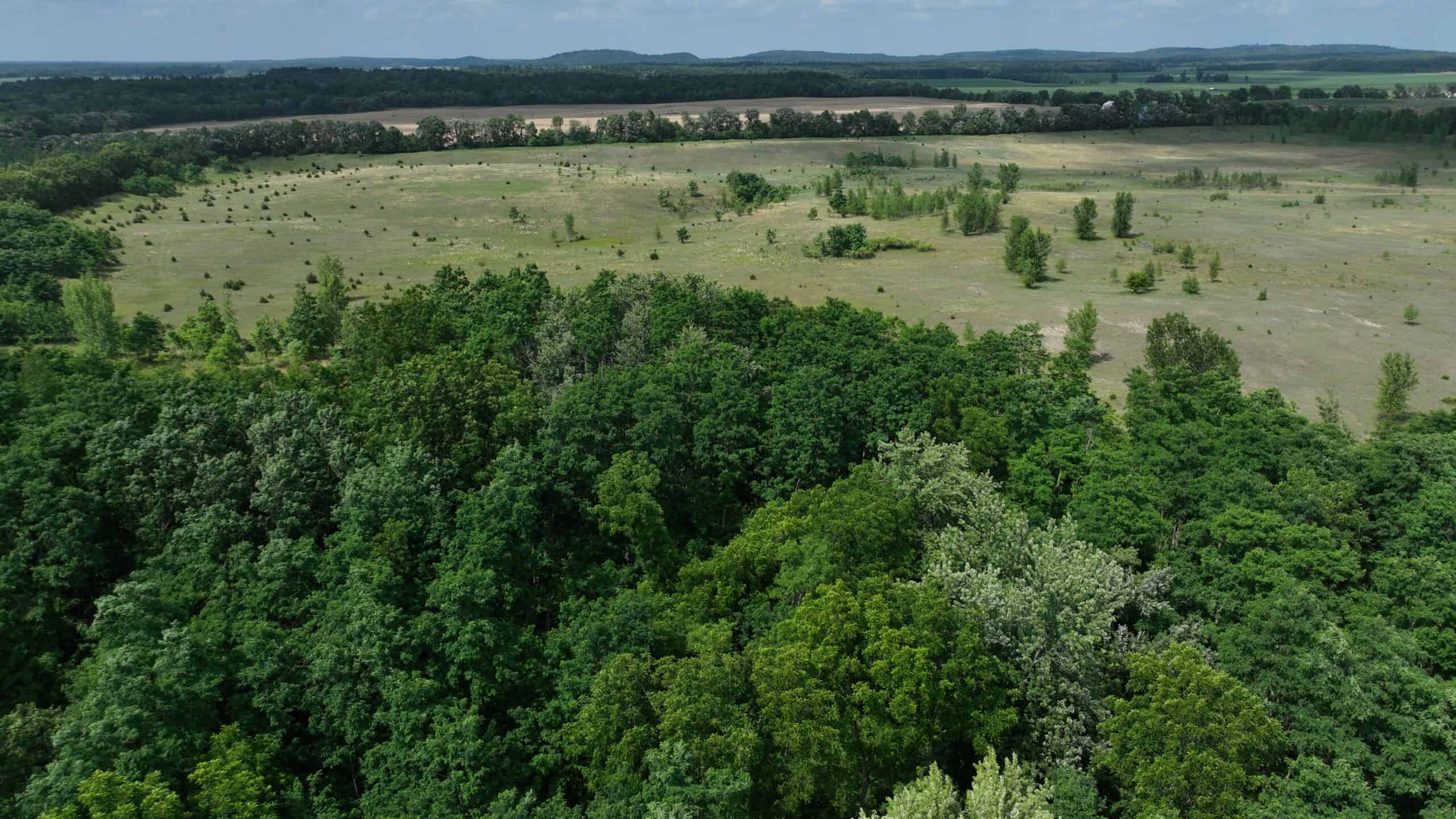 100-Acre Legacy Recreational Tract with Dual Road Frontage | Adams County, Wisconsin