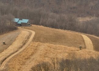 Blufftop Whitetail Estate – 39.21 Acres with Log Home & Trophy Deer Habitat in Richland County