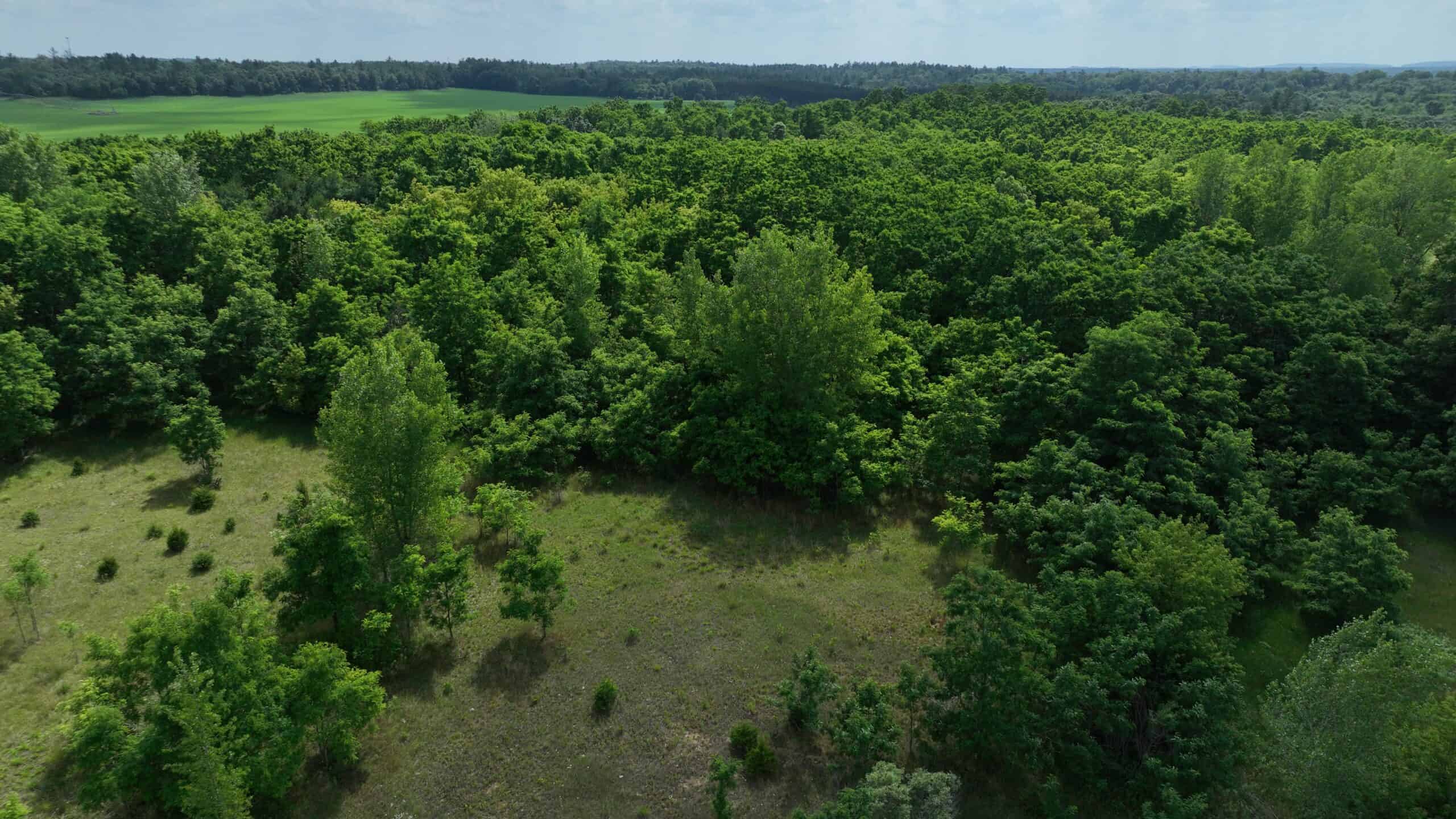 100-Acre Legacy Recreational Tract with Dual Road Frontage | Adams County, Wisconsin