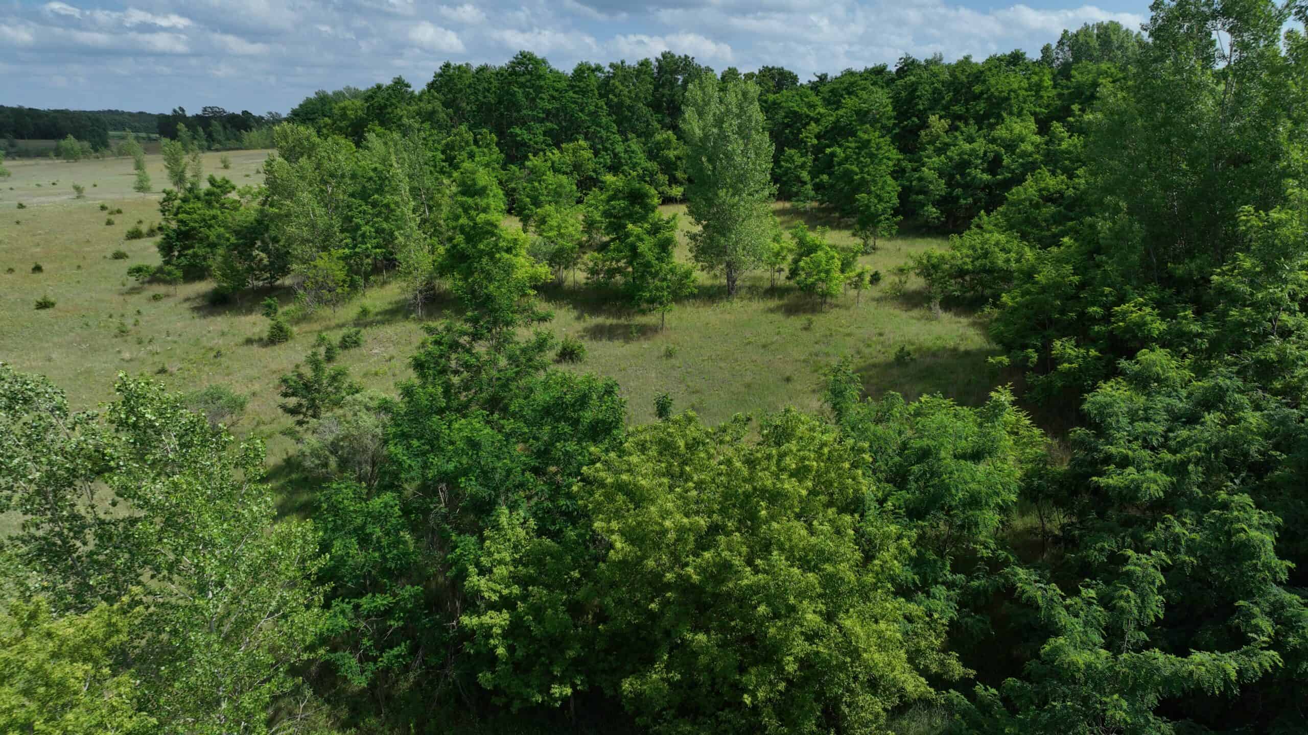 100-Acre Legacy Recreational Tract with Dual Road Frontage | Adams County, Wisconsin