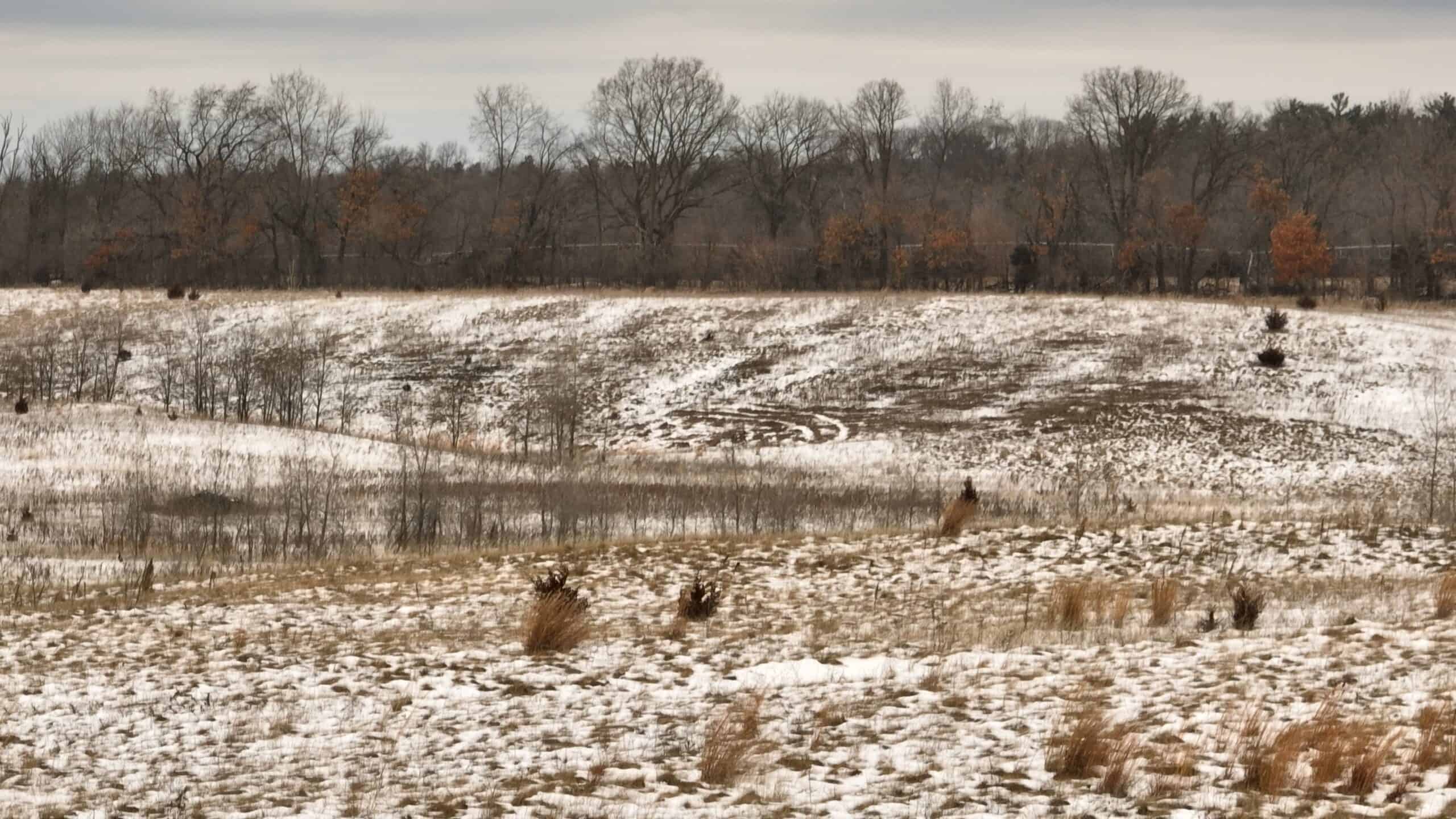 100-Acre Legacy Recreational Tract with Dual Road Frontage | Adams County, Wisconsin