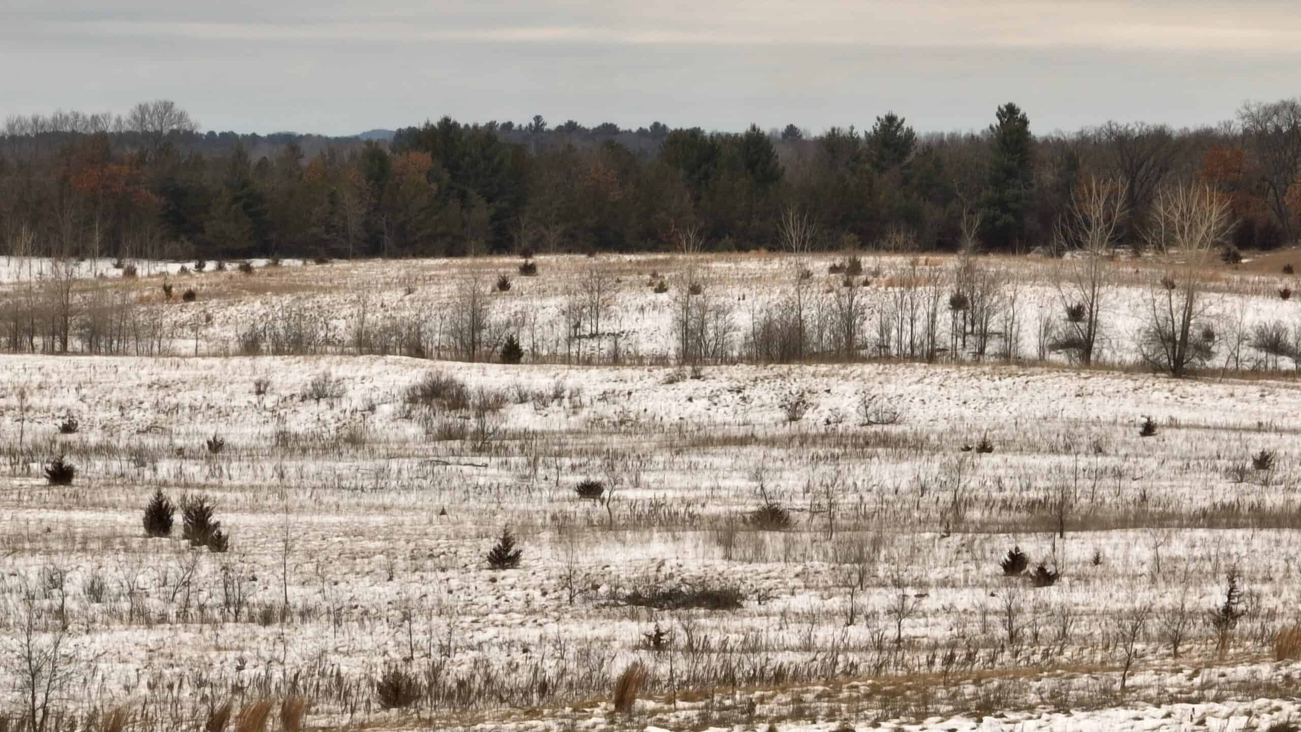 100-Acre Legacy Recreational Tract with Dual Road Frontage | Adams County, Wisconsin