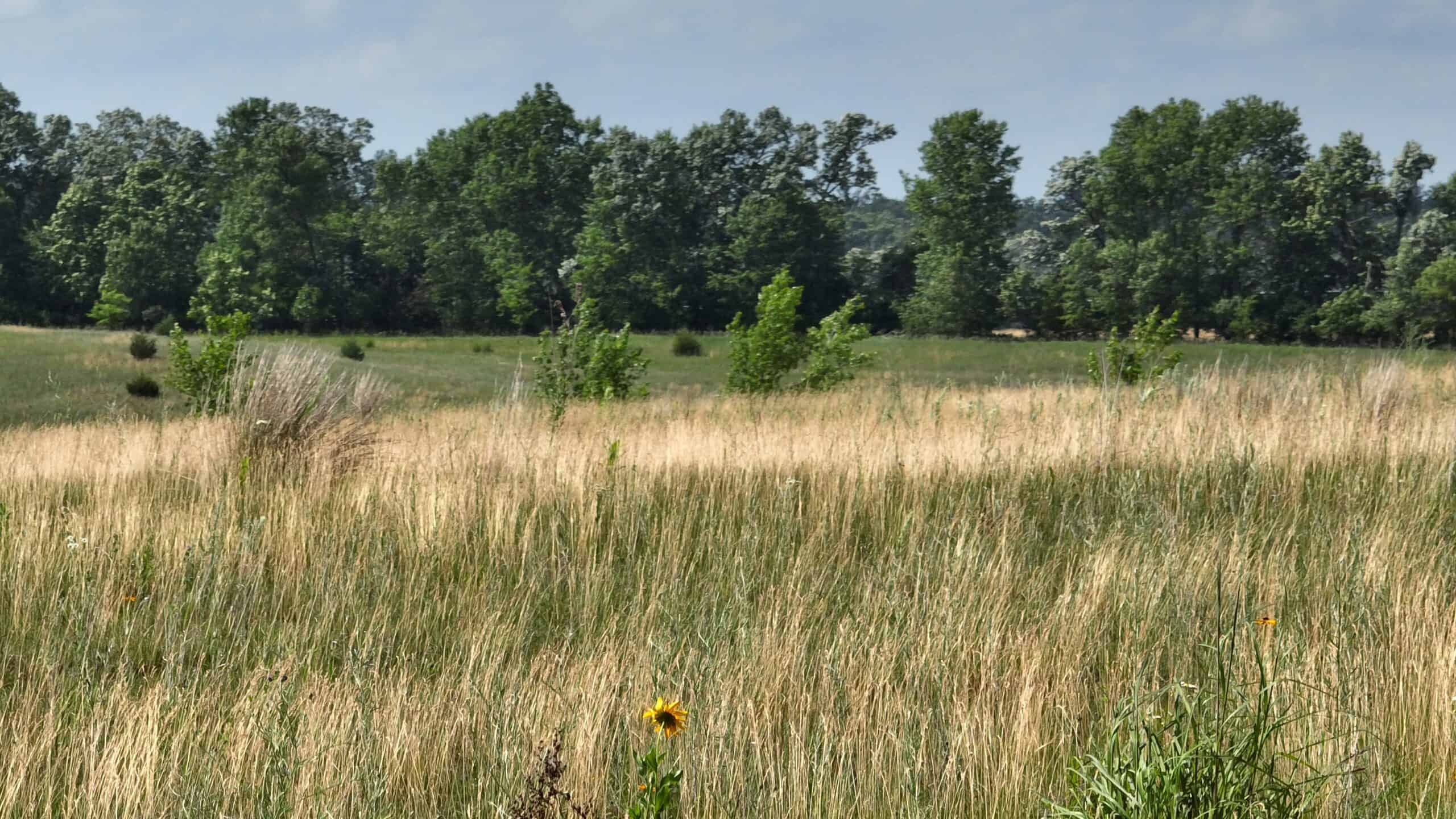 100-Acre Legacy Recreational Tract with Dual Road Frontage | Adams County, Wisconsin