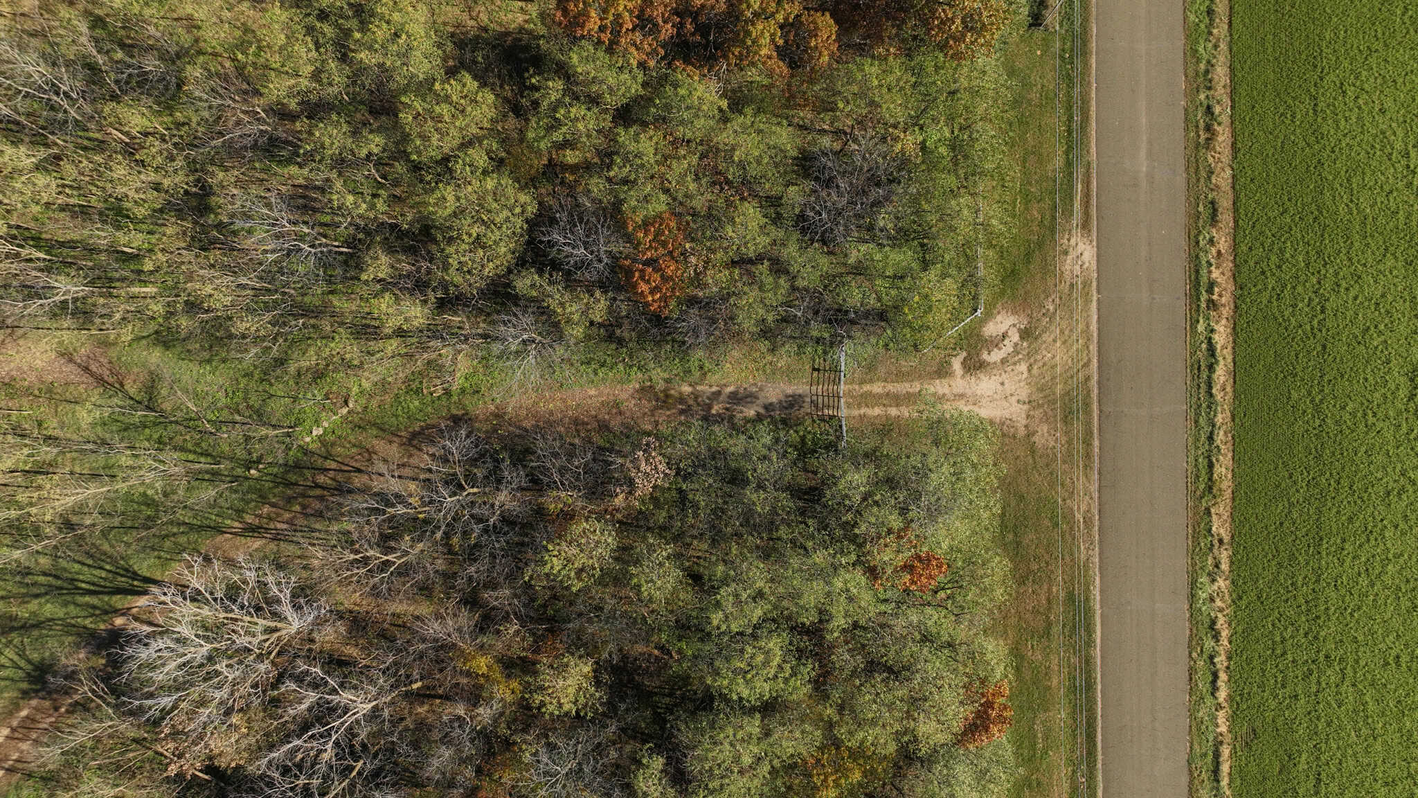 89.22-Acre Turnkey Whitetail Hunting Property in Adams County, Wisconsin