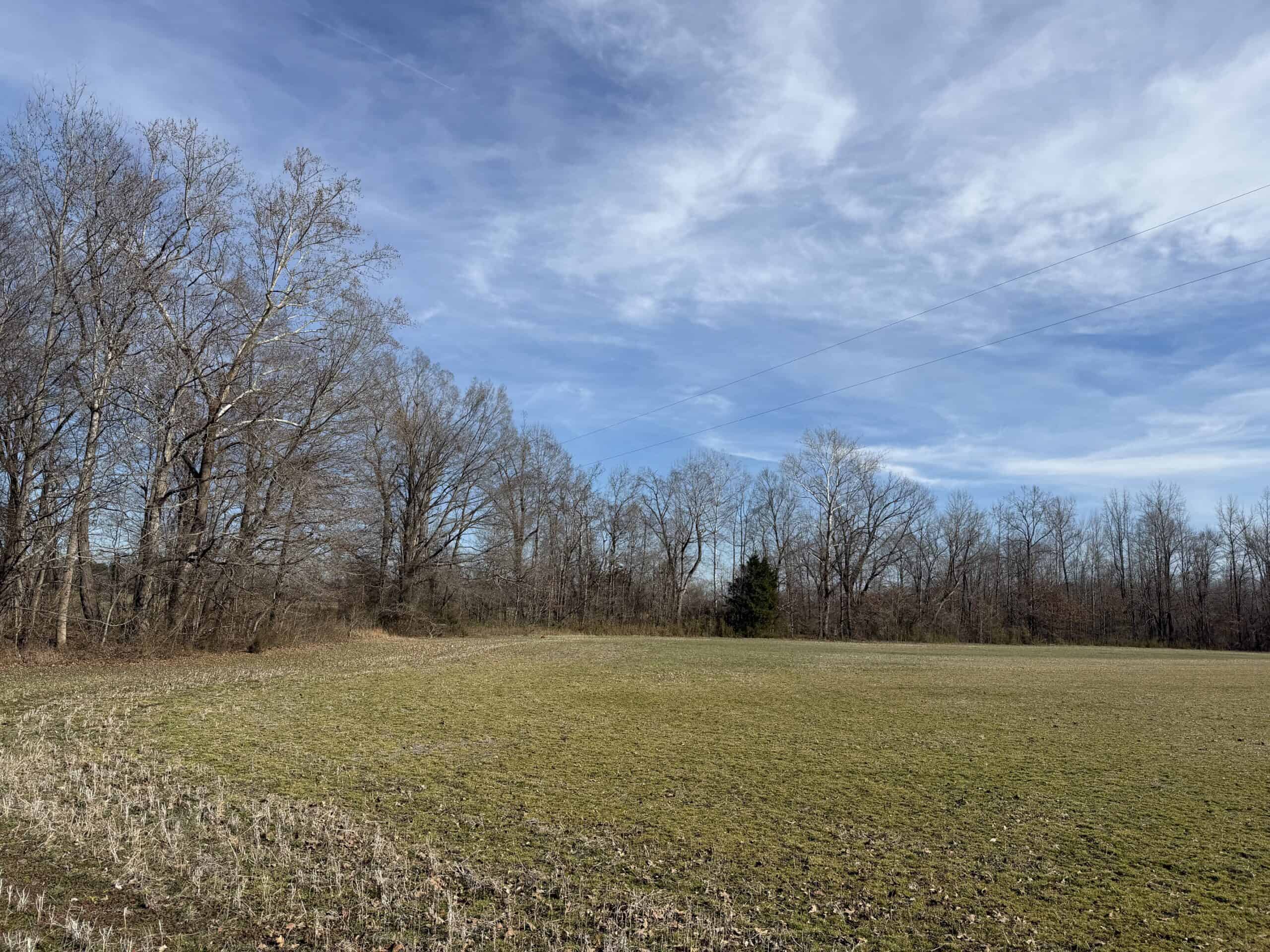 LAND FOR SALE IN TN, 19 AC, TILLABLE, CREEK, BUILDING SITE