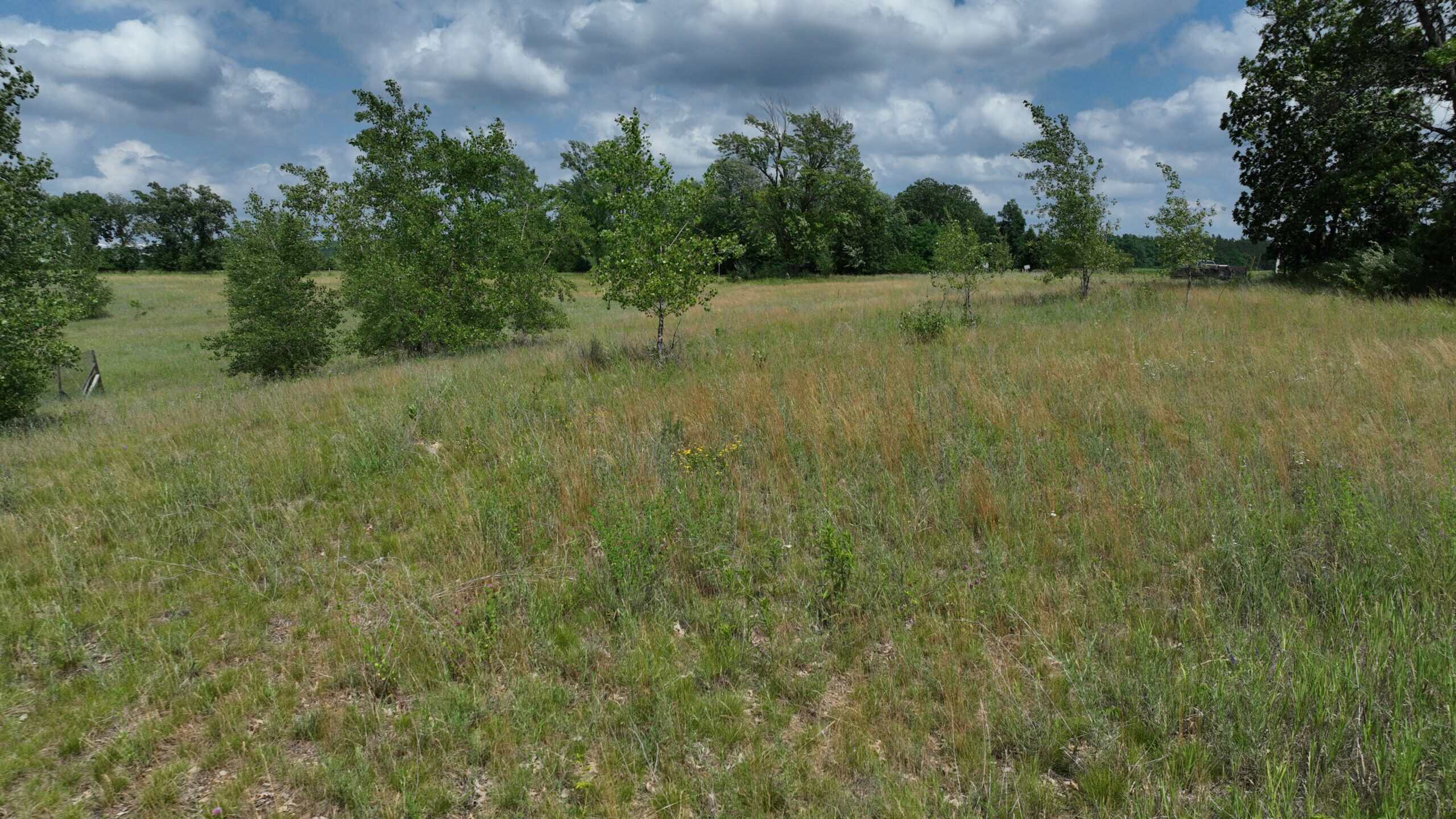 100-Acre Legacy Recreational Tract with Dual Road Frontage | Adams County, Wisconsin