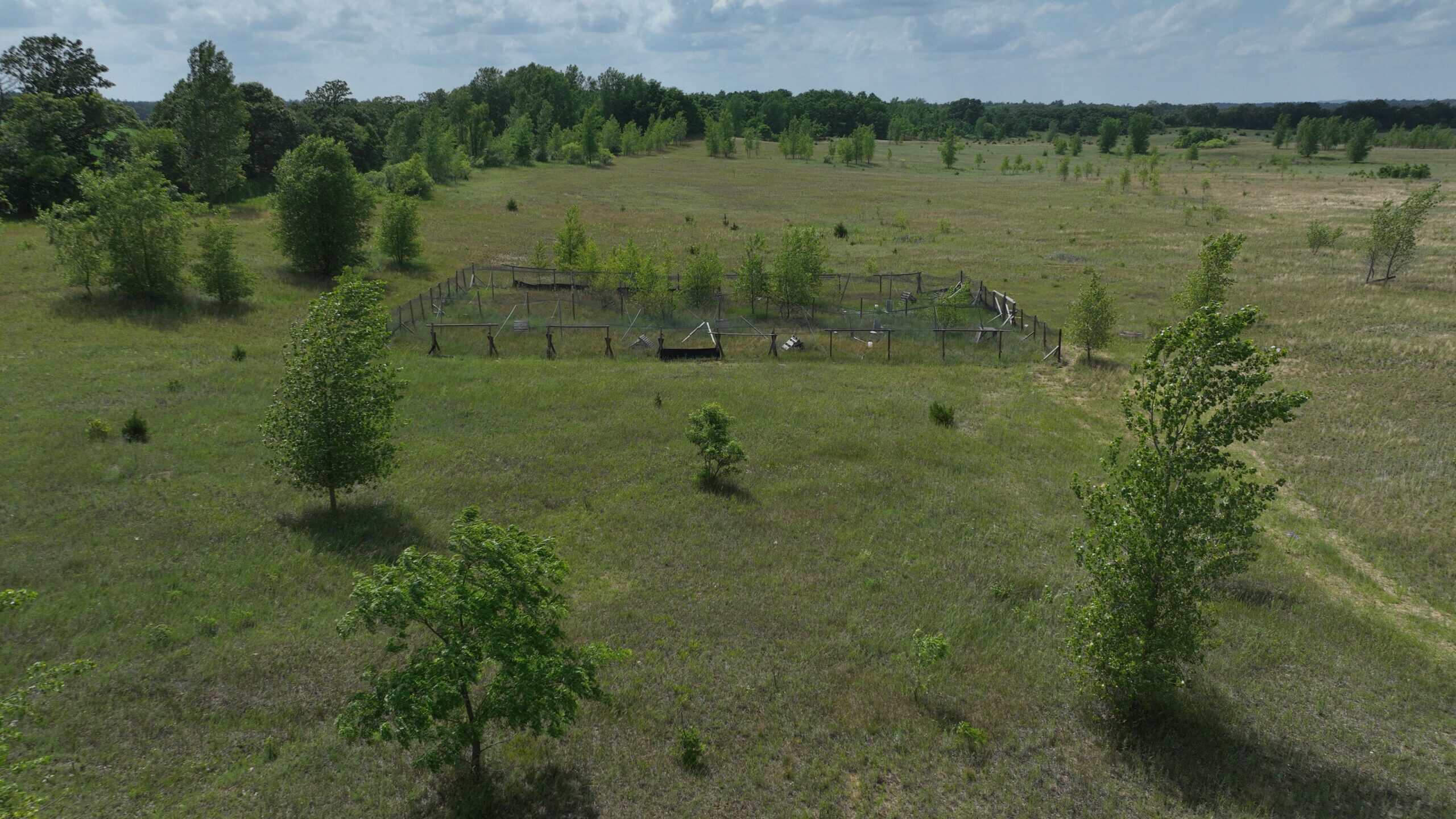 100-Acre Legacy Recreational Tract with Dual Road Frontage | Adams County, Wisconsin
