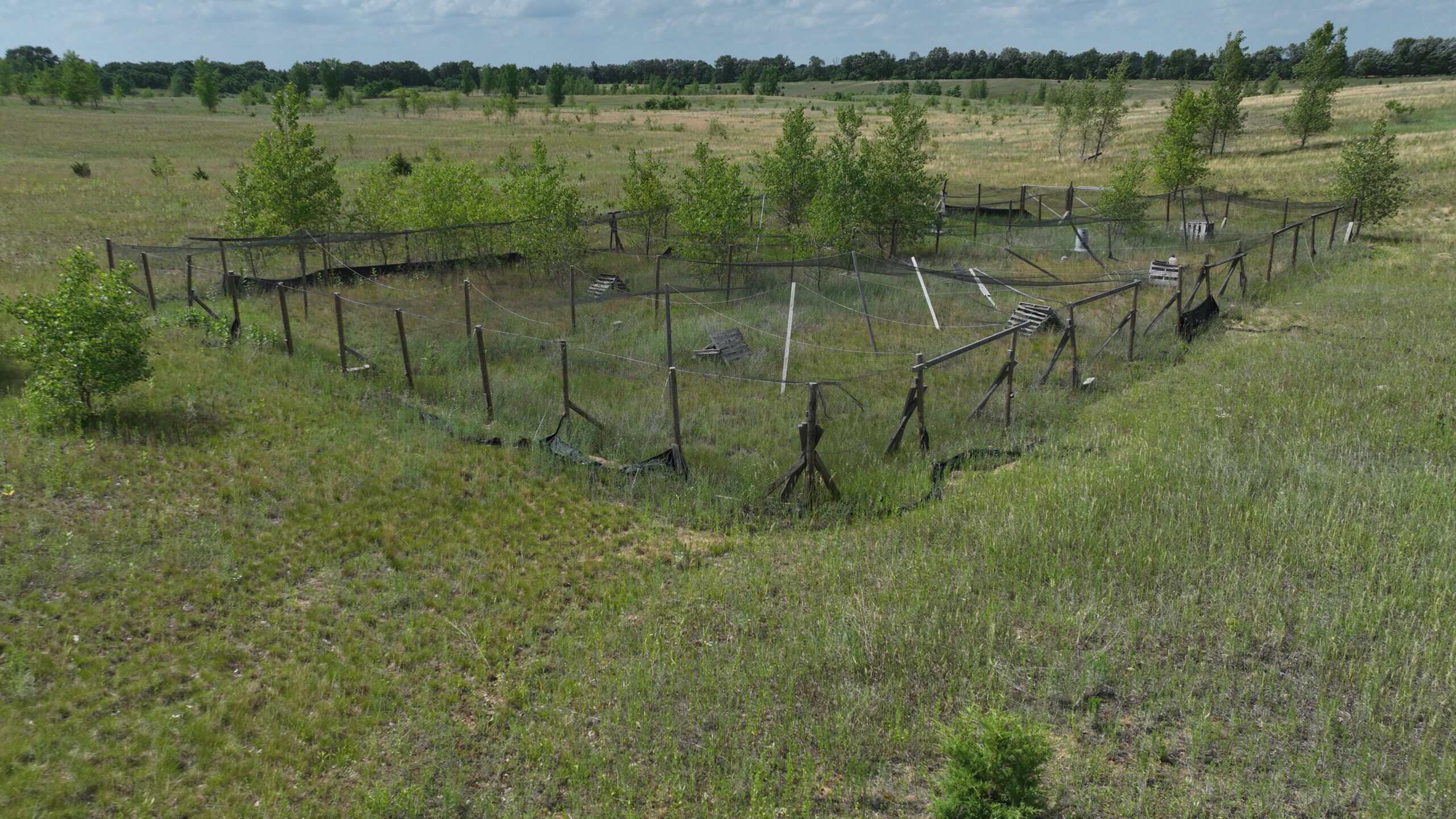 100-Acre Legacy Recreational Tract with Dual Road Frontage | Adams County, Wisconsin