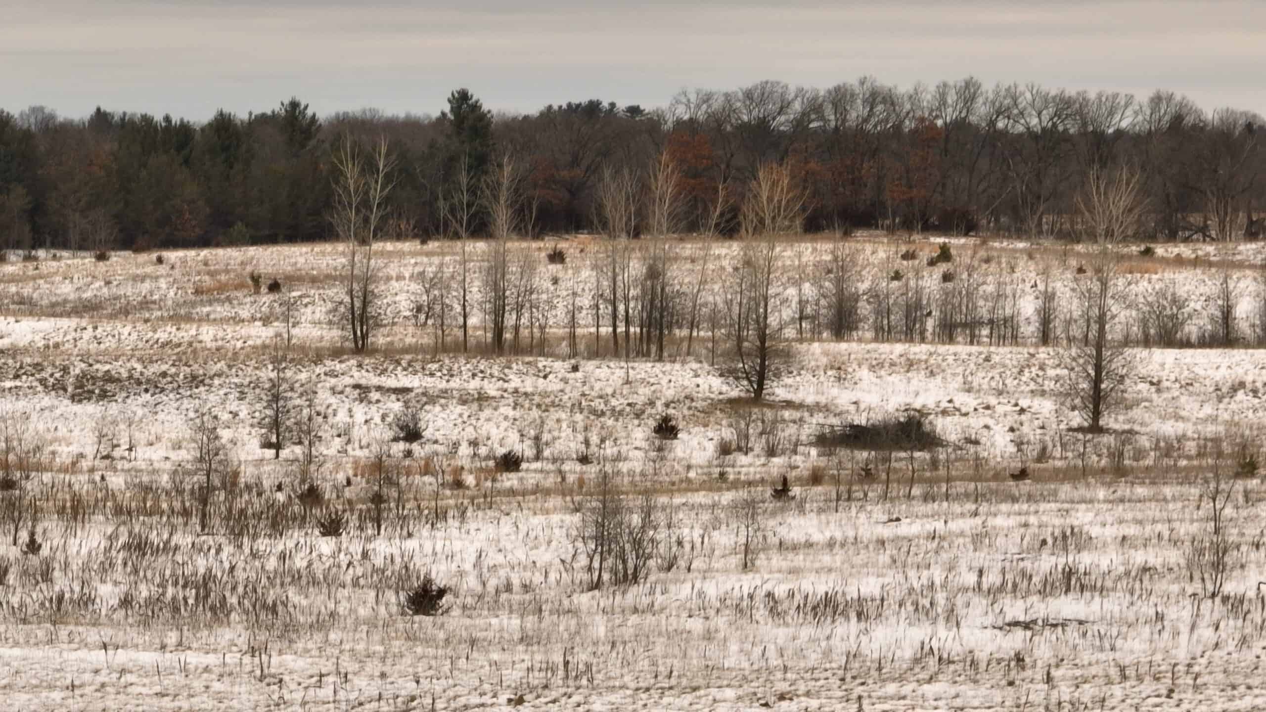 100-Acre Legacy Recreational Tract with Dual Road Frontage | Adams County, Wisconsin