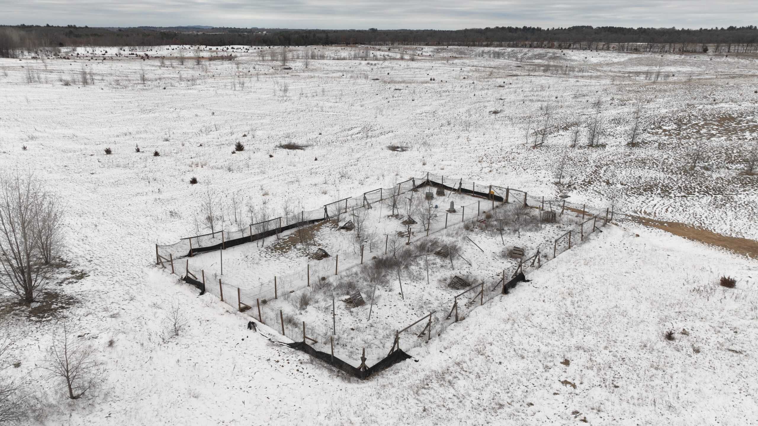 100-Acre Legacy Recreational Tract with Dual Road Frontage | Adams County, Wisconsin