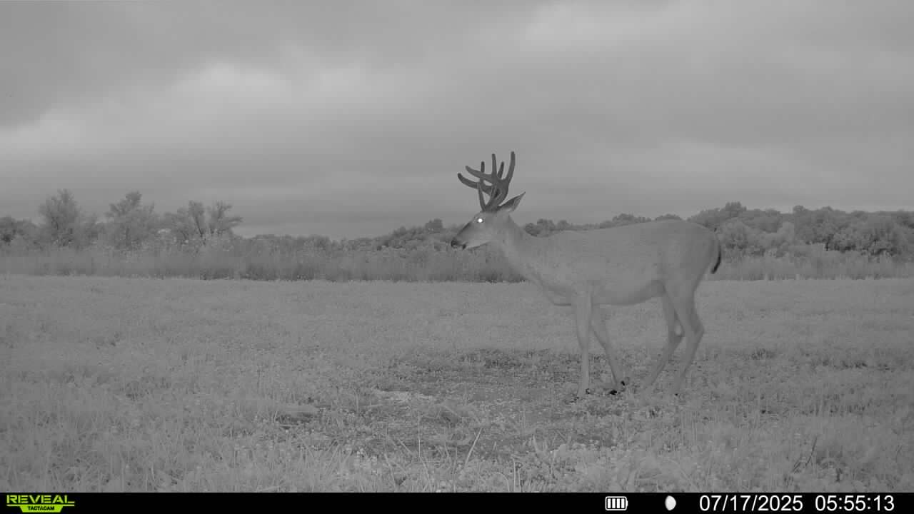Prime Hunting and Income Property in Clark County, MO