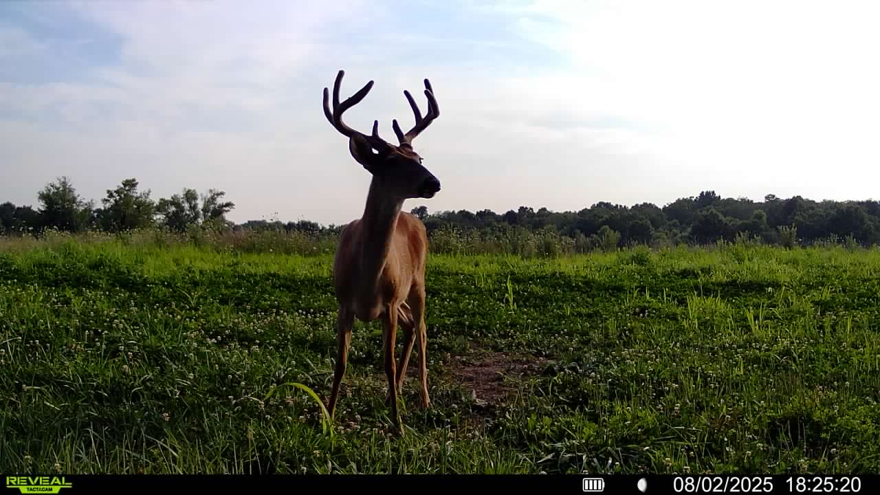 Exceptional Whitetail and Turkey Hunting Paradise in Clark County
