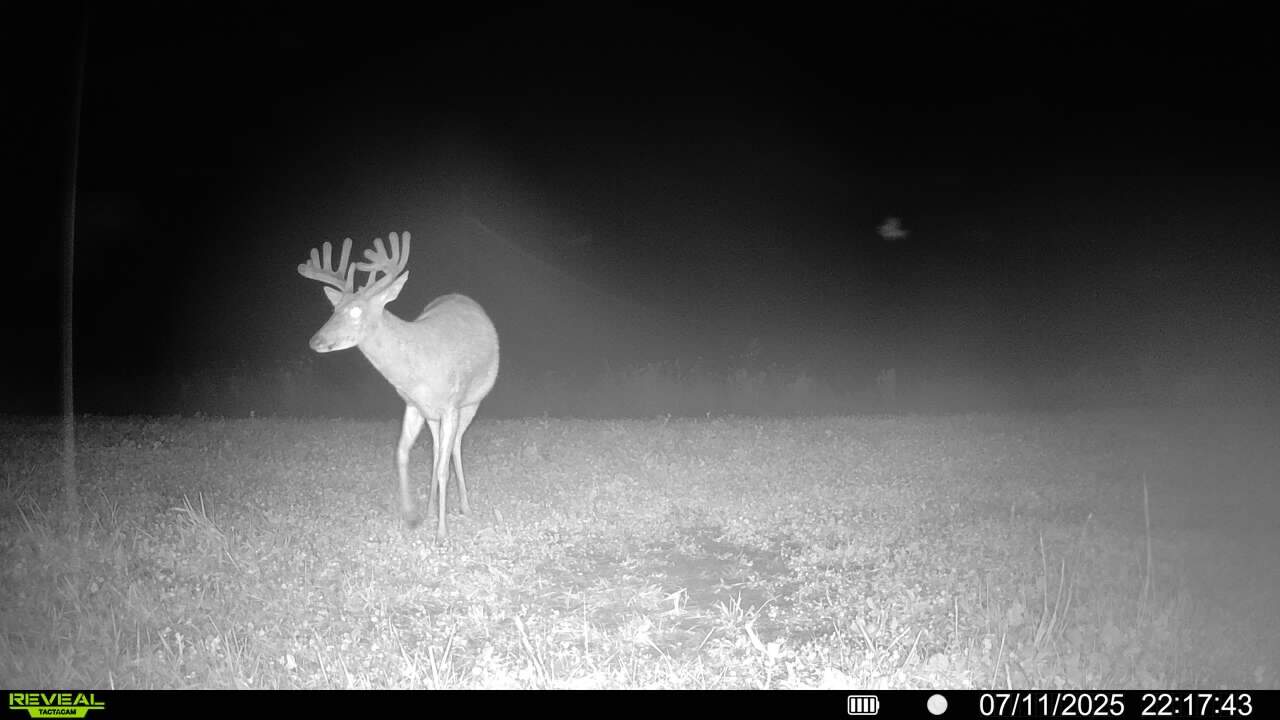 Exceptional Whitetail and Turkey Hunting Paradise in Clark County