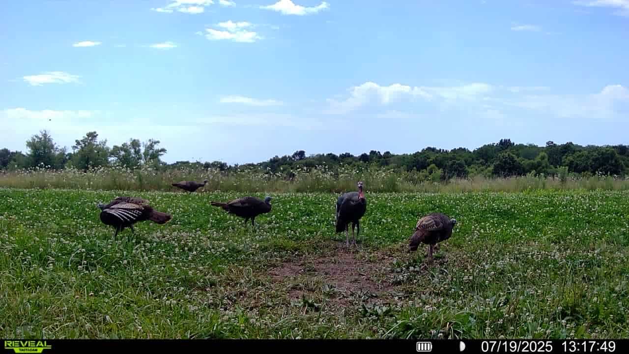 Premier Hunting Parcel in Clark County, Missouri