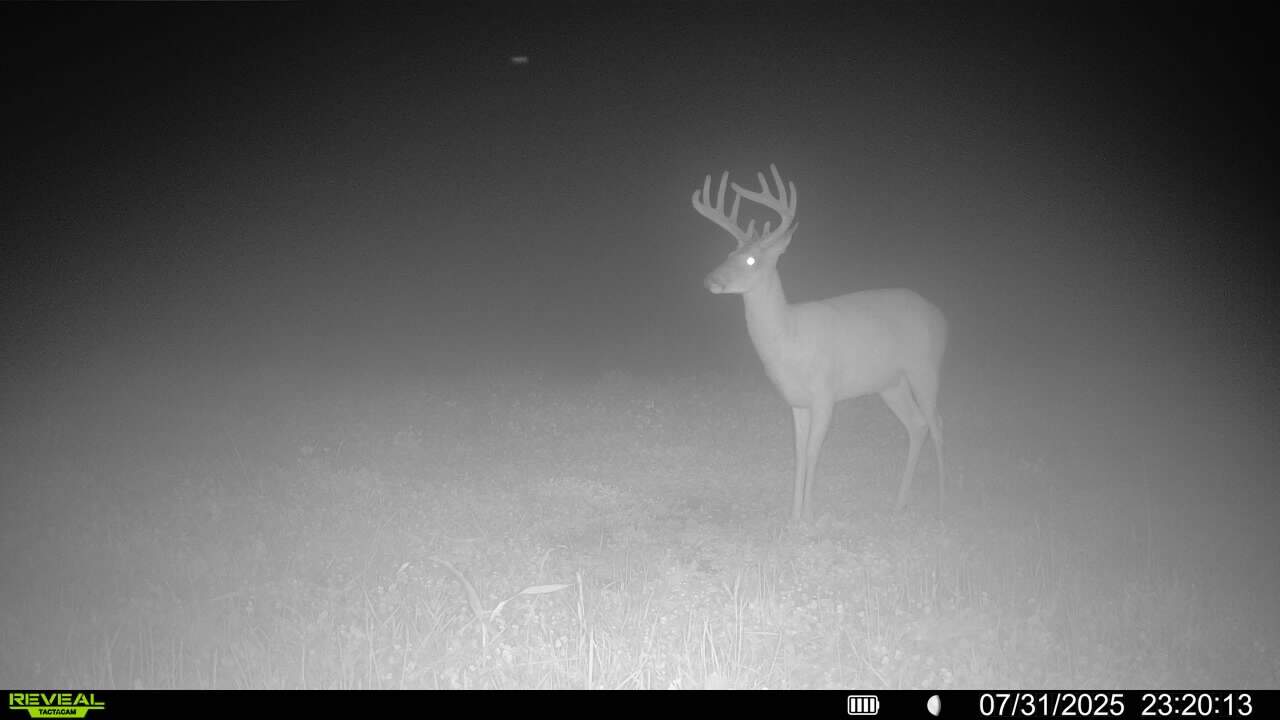 Prime Hunting and Income Property in Clark County, MO