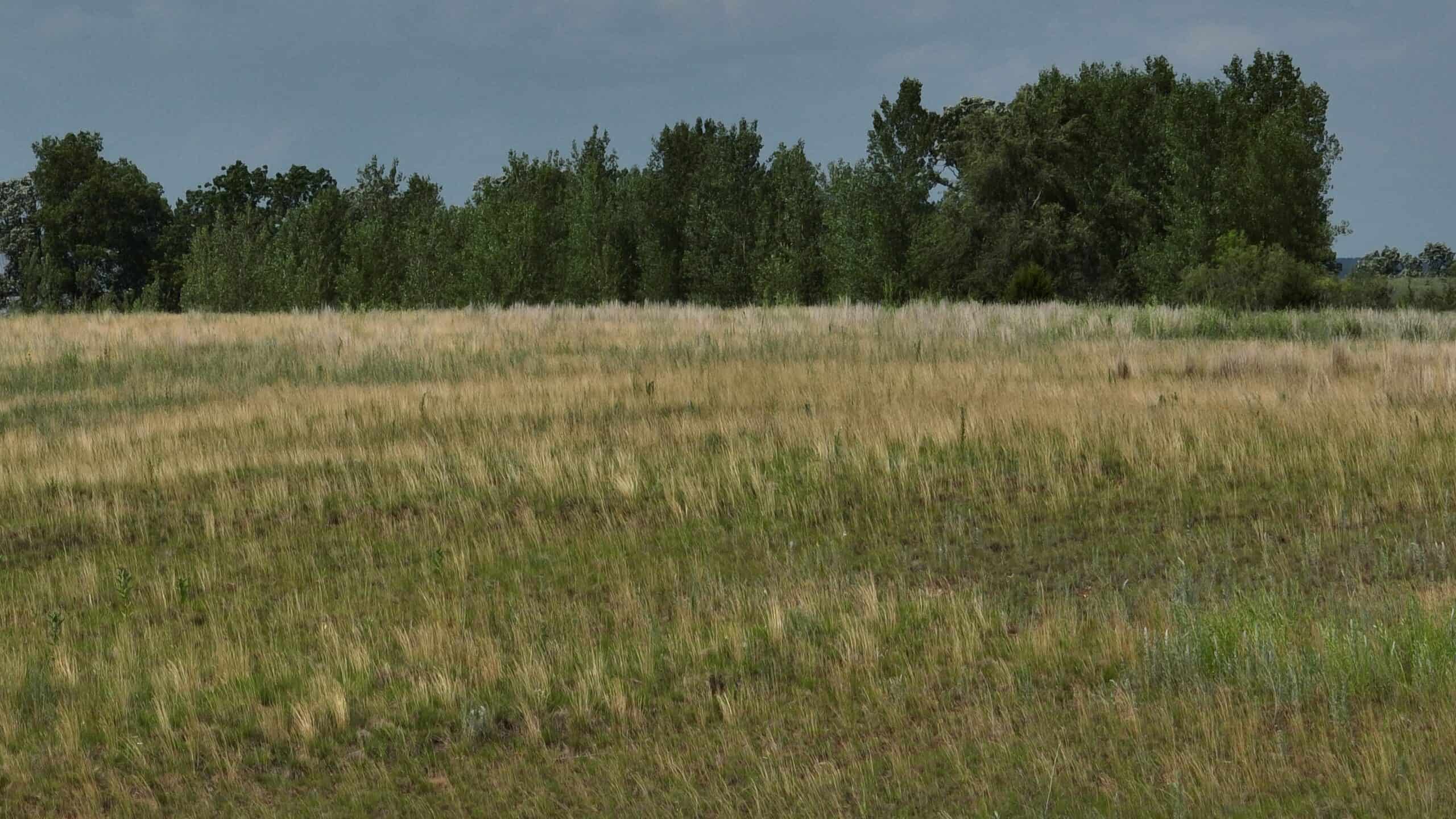 100-Acre Legacy Recreational Tract with Dual Road Frontage | Adams County, Wisconsin