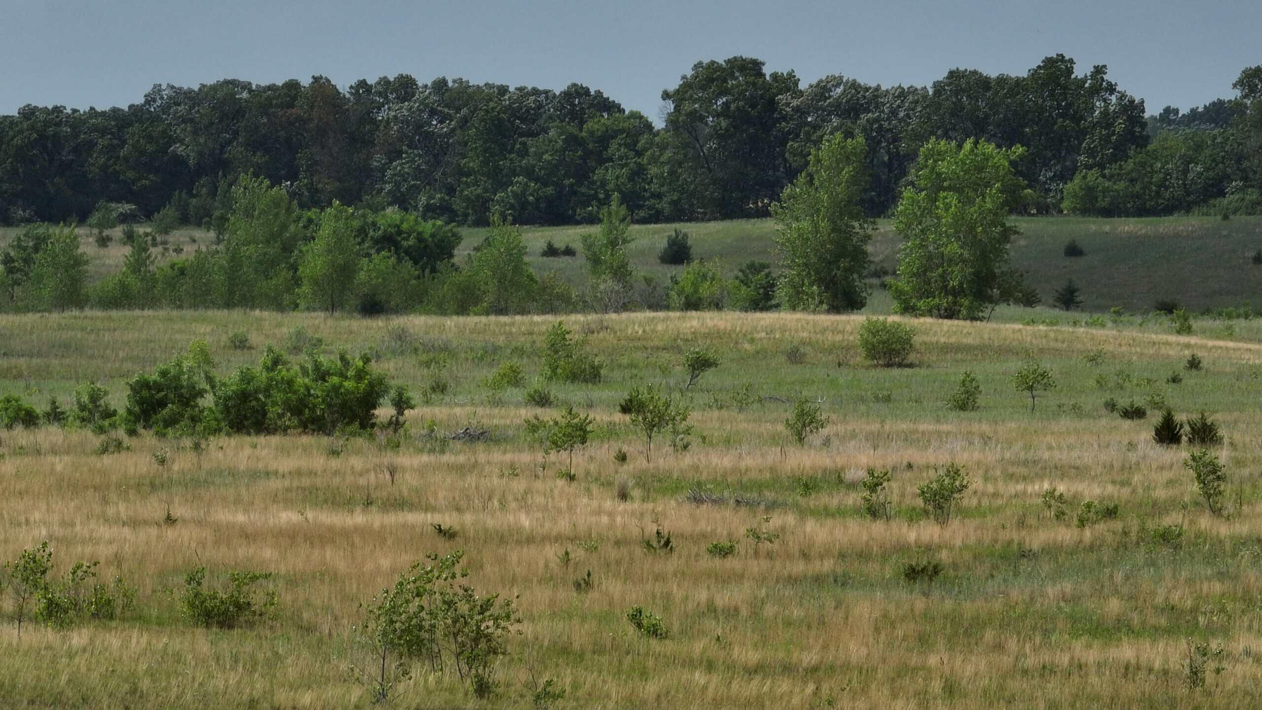 100-Acre Legacy Recreational Tract with Dual Road Frontage | Adams County, Wisconsin