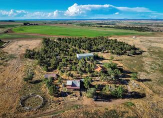 882 Acres Farm near Cortez Colorado For Sale!