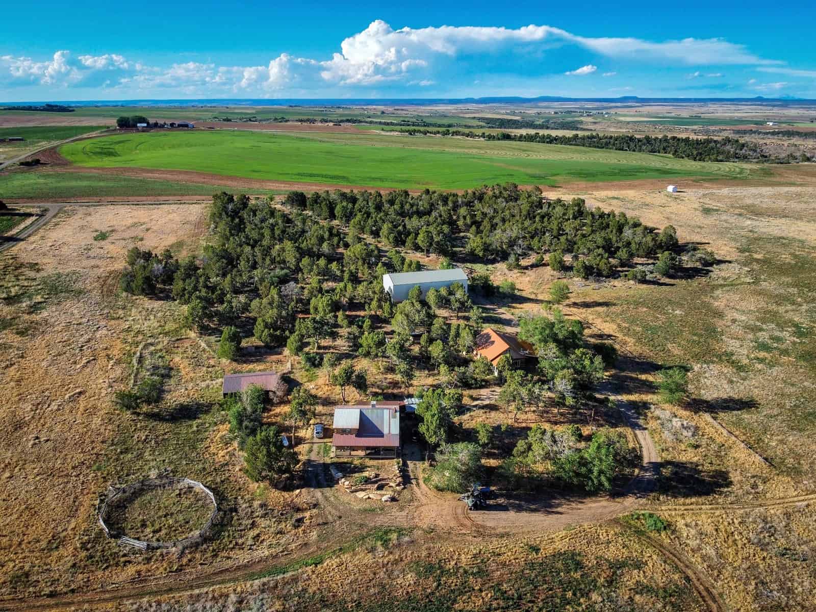 882 Acres Farm near Cortez Colorado For Sale!