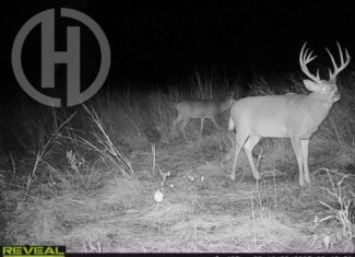 Excellent Building Site & Hunting Property in Coffey County Kansas