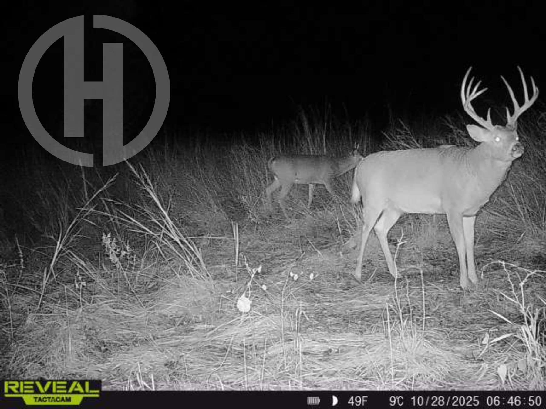Excellent Building Site & Hunting Property in Coffey County Kansas